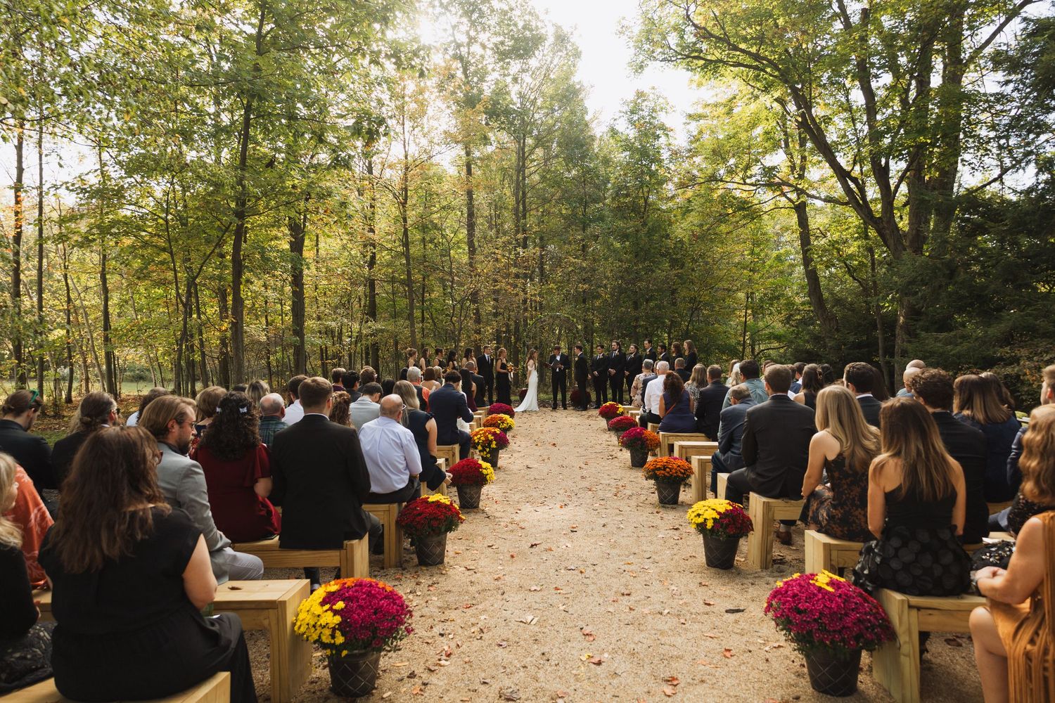 Outdoor autumn wedding ceremony setup with wooden benches and colorful mums lining a forest path.