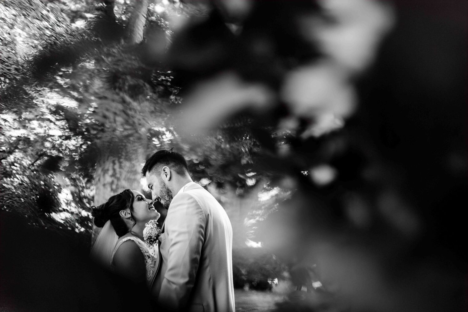 Dramatic black and white portrait of a wedding couple among trees.