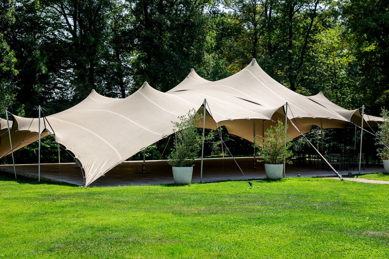 A large beige stretch tent canopy set up on a green lawn with trees in the background.