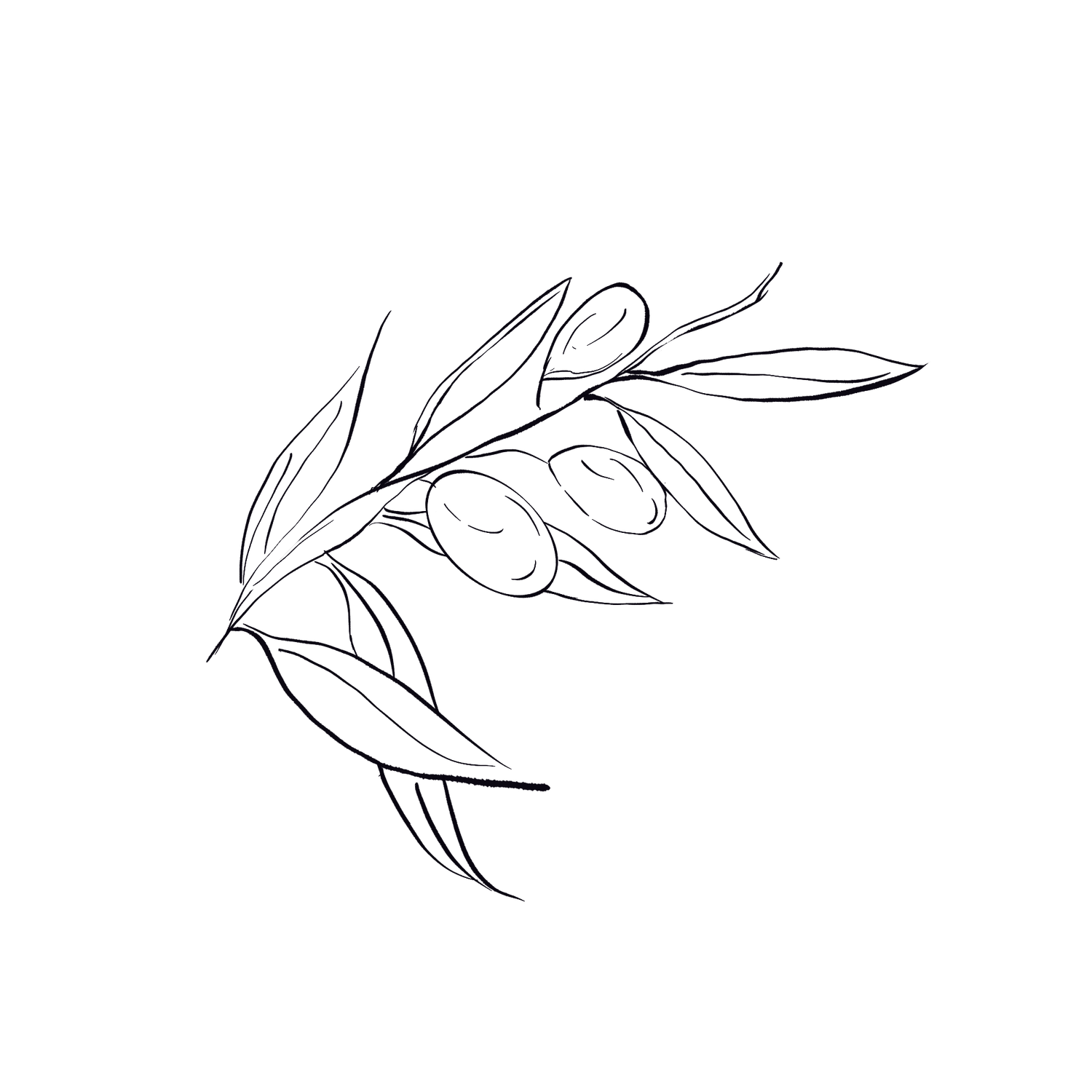 Simple black line drawing of delicate leaves and branches with flowing organic curves and minimal detail.