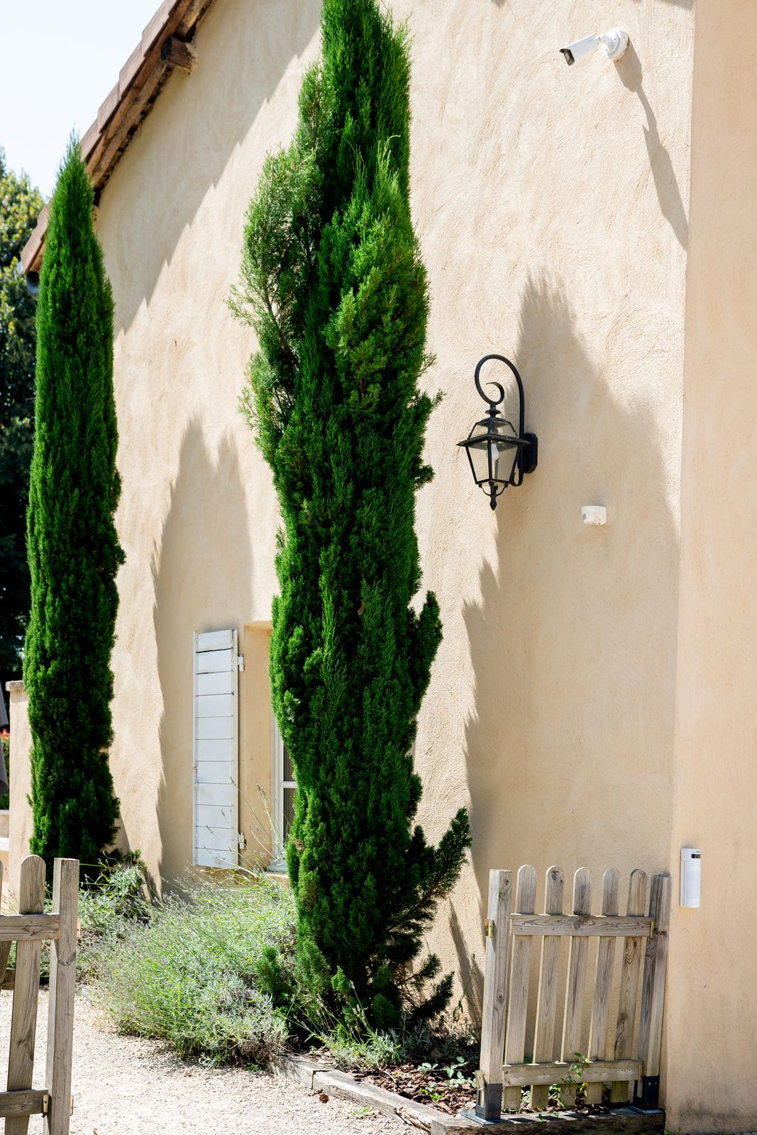 Tall cypress trees flank a beige stucco wall with blue shutters and wrought iron lantern beside a wooden picket fence.
