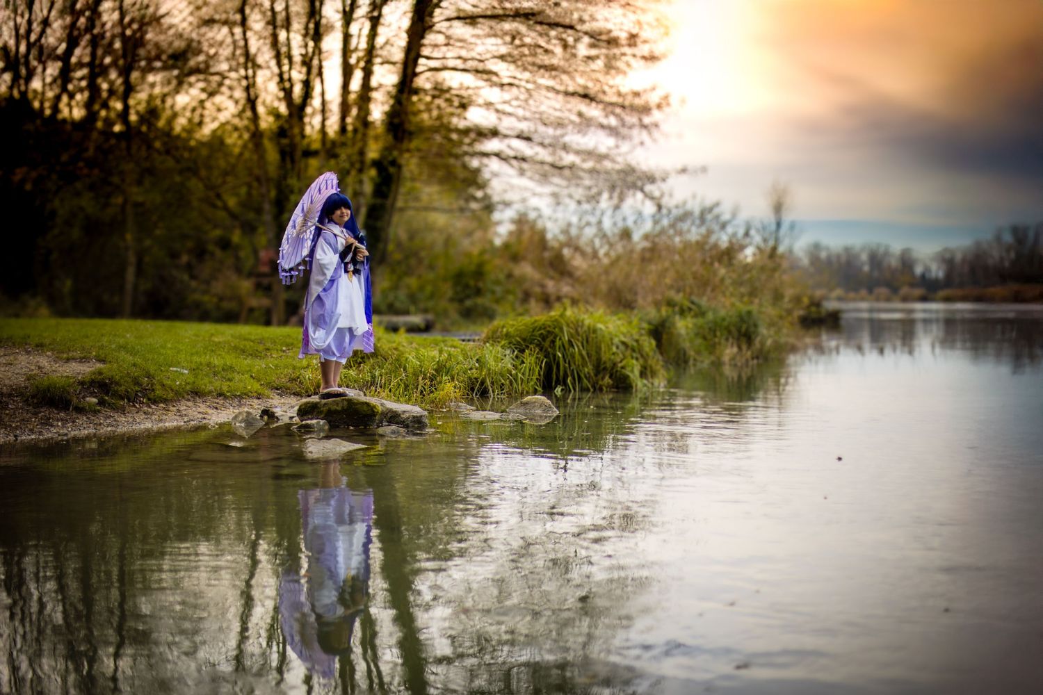 Artistic panoramic landscape shots of a serene lake with trees at sunset.