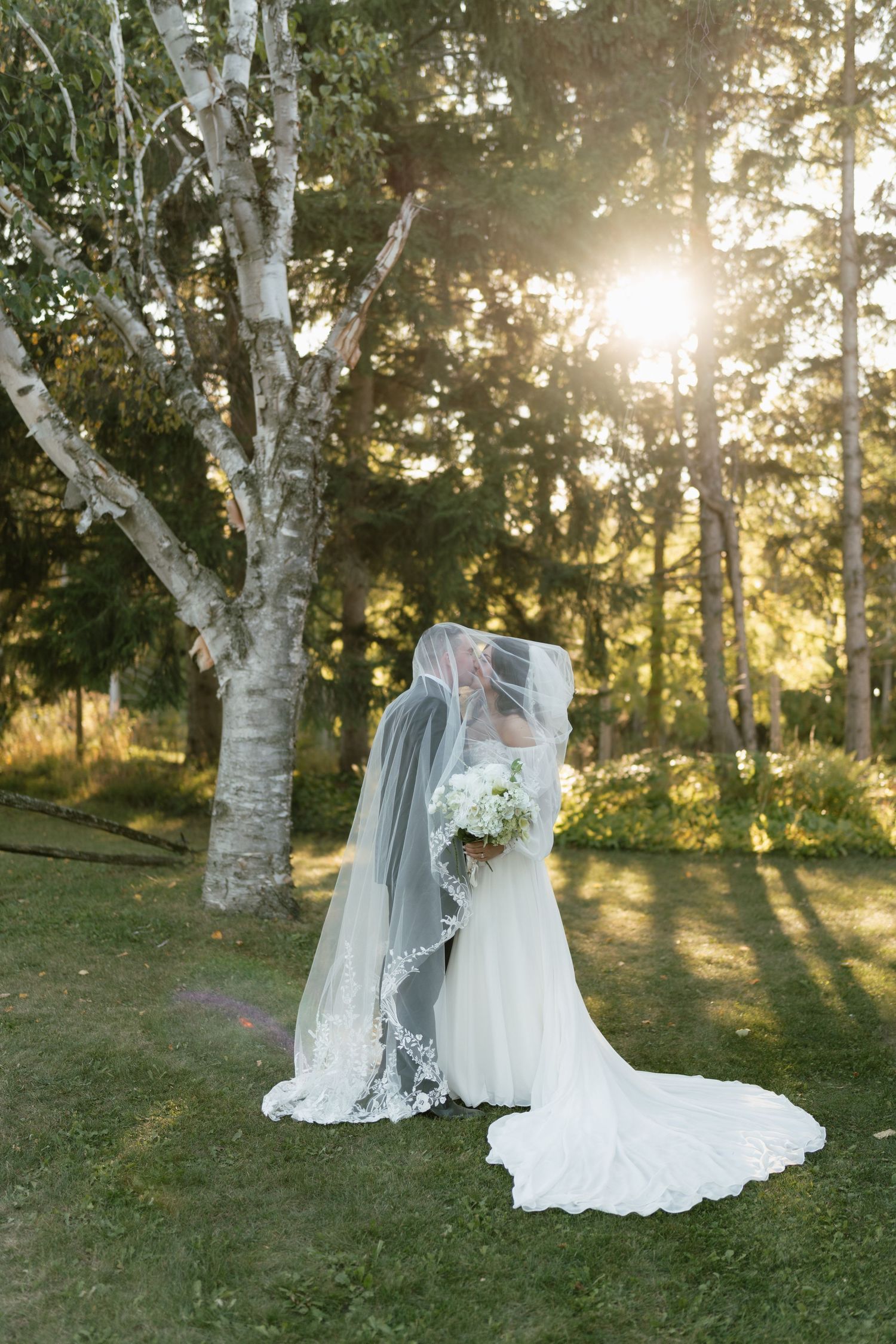 Wedding dress and veil backlit by golden sunlight through birch trees.