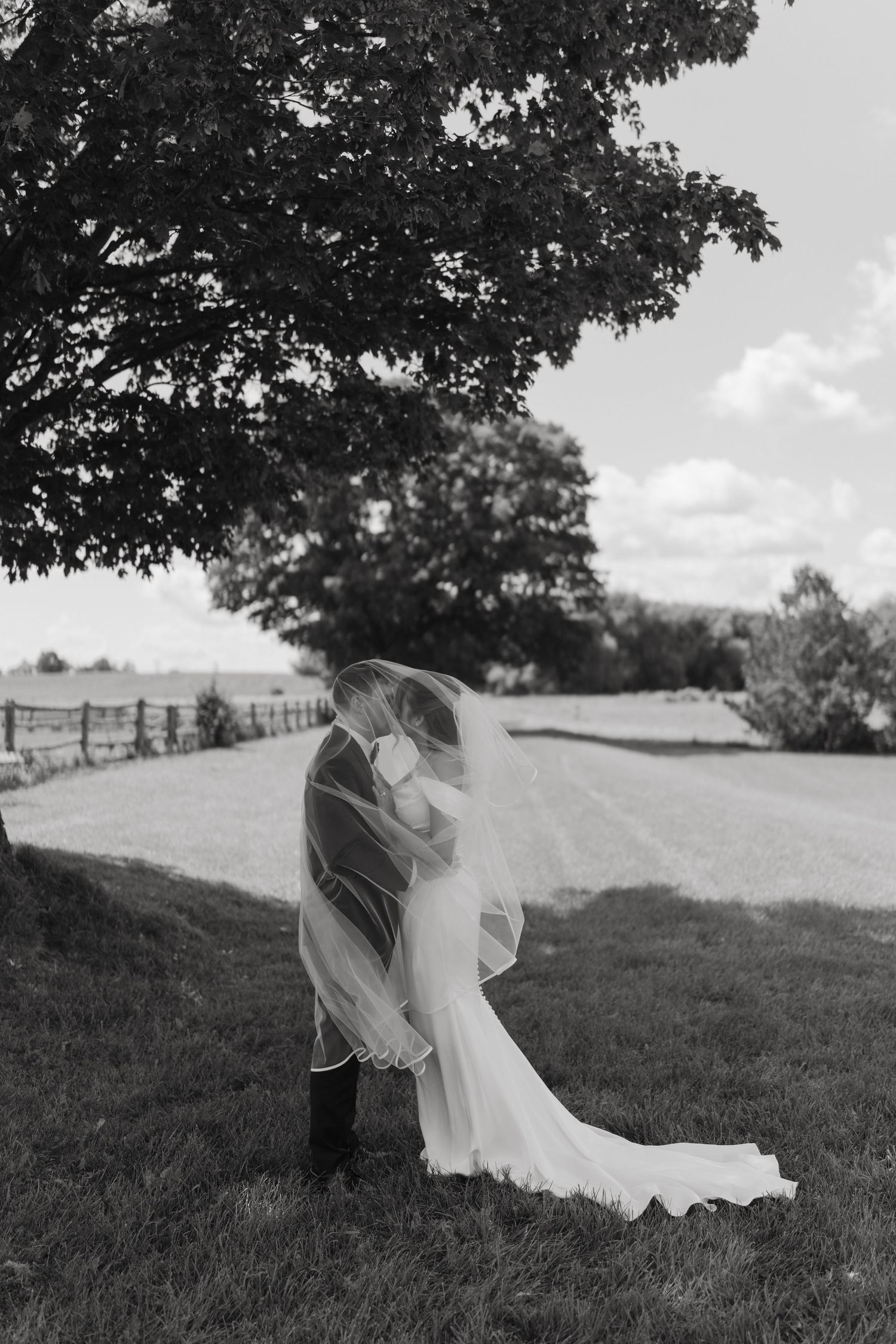 Black and white photo of a bride and groom kissing under a tree, bridal veil flowing in the wind.
