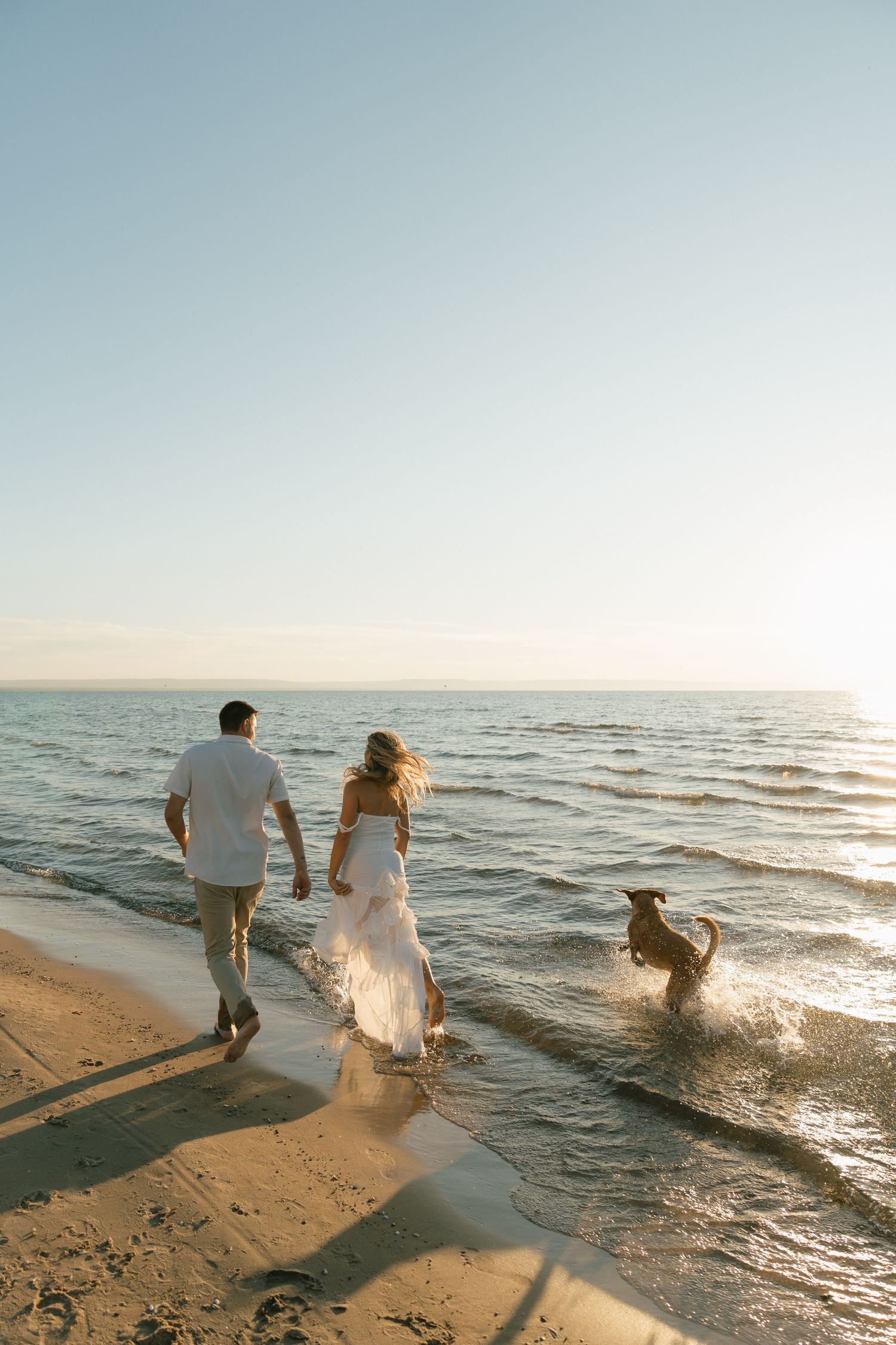 A playful scene at the beach with a dog running through waves at sunset.
