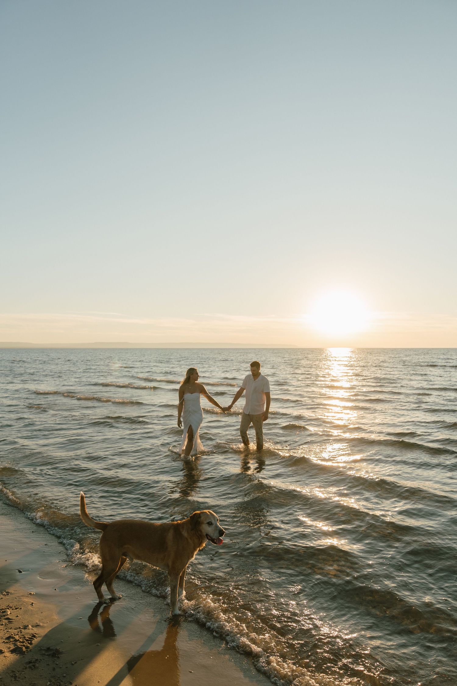 Couple wading in ocean water at sunset with their dog on beach.