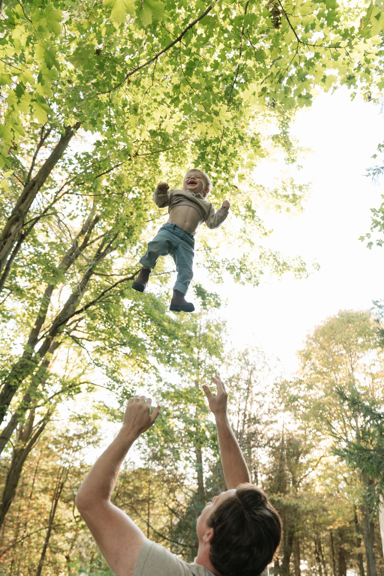 Sequence of playful moments tossing child in air under green tree canopy.
