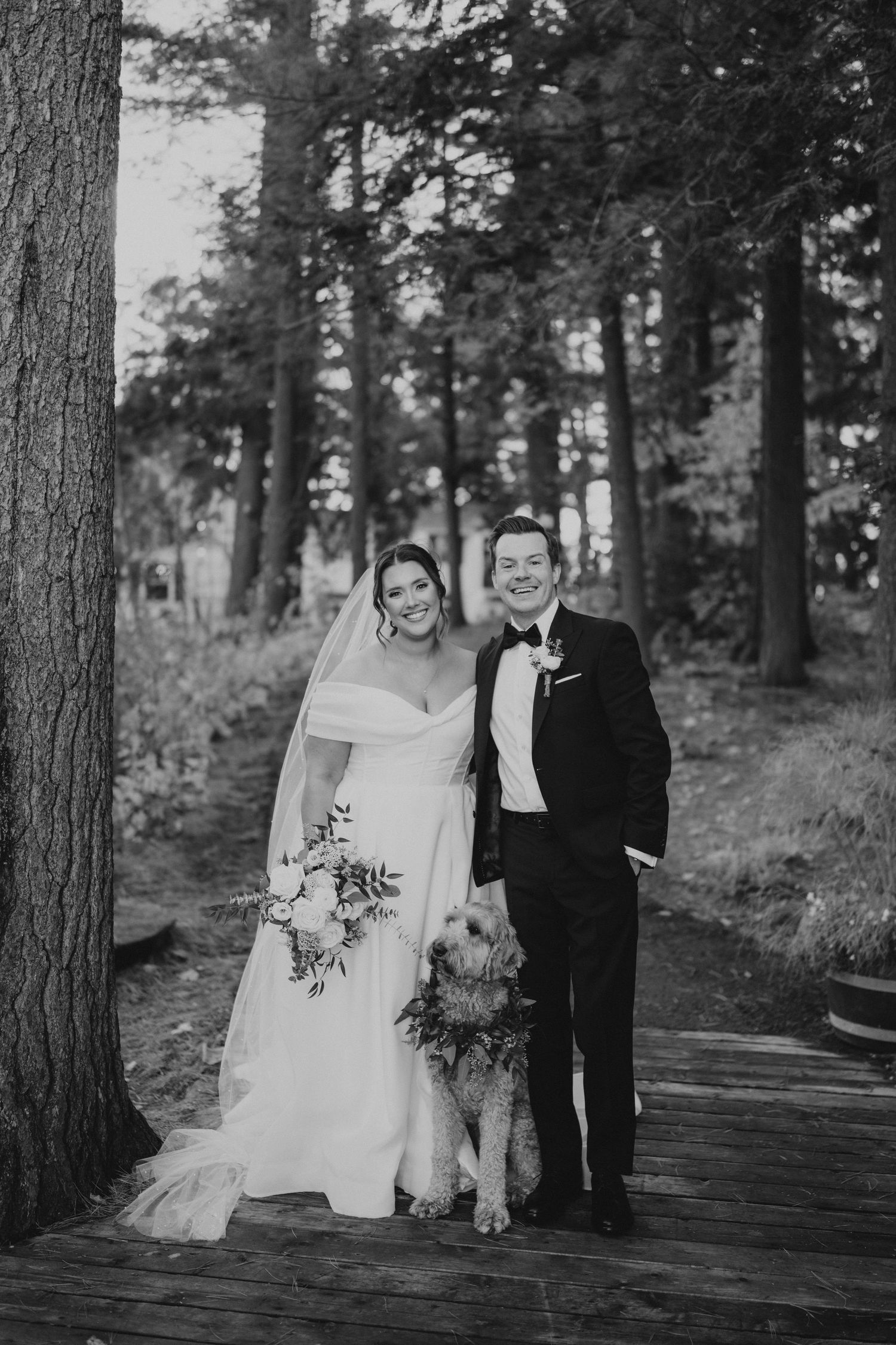 Wedding couple poses with their dog on a wooden walkway surrounded by forest.