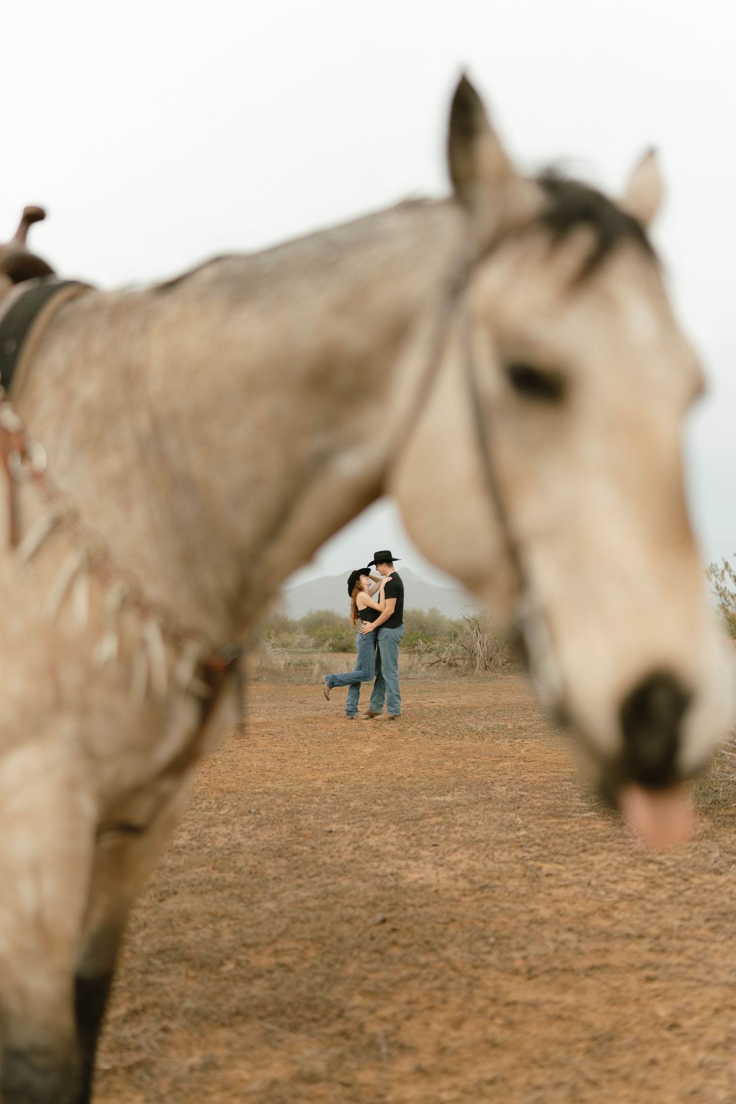 A couple shares a romantic moment in a field with a white horse visible in the foreground.