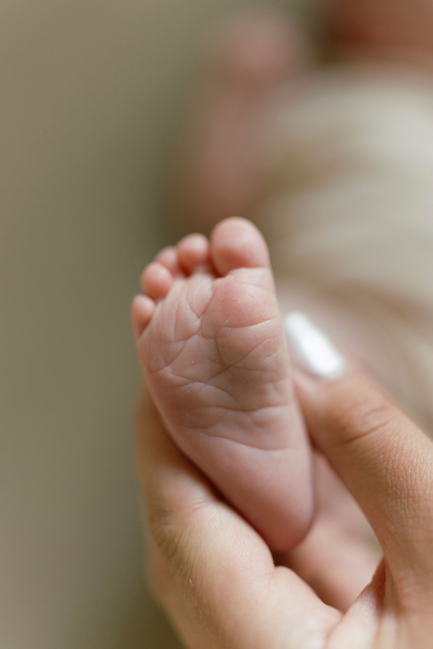 A parent gently holds a tiny newborn baby's foot in their hand, showcasing delicate skin and miniature toes.