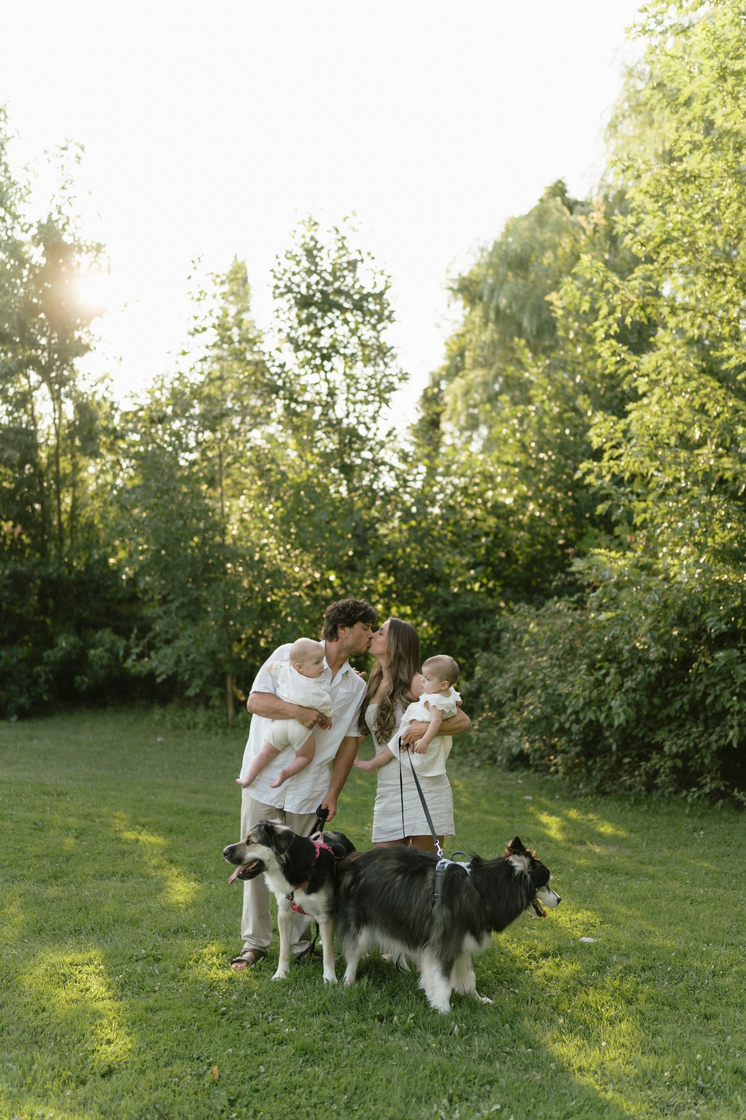 A couple kisses in a sunny park while holding babies and standing with two border collies on green grass.