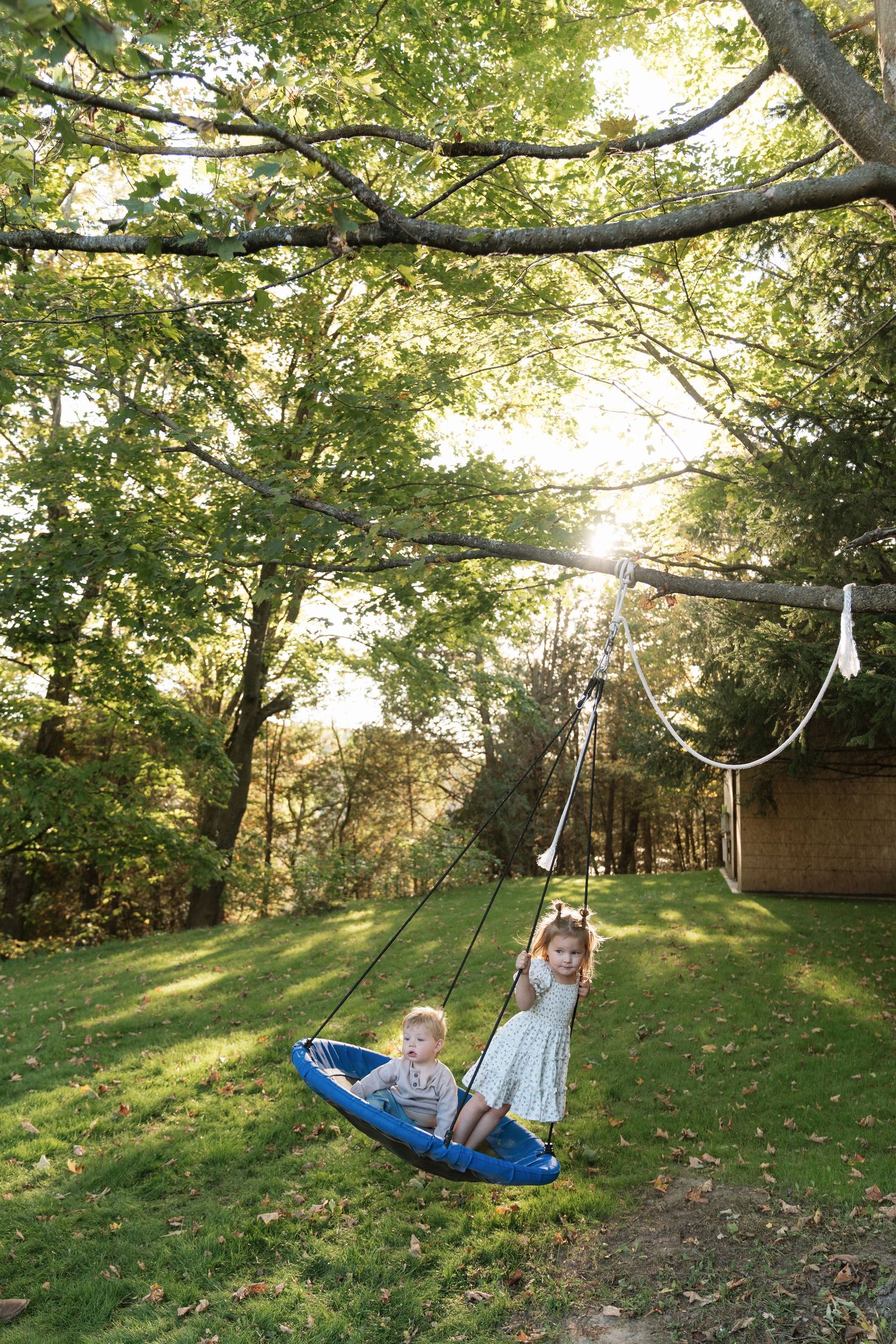 Child playing on blue swing under leafy green trees in backyard.