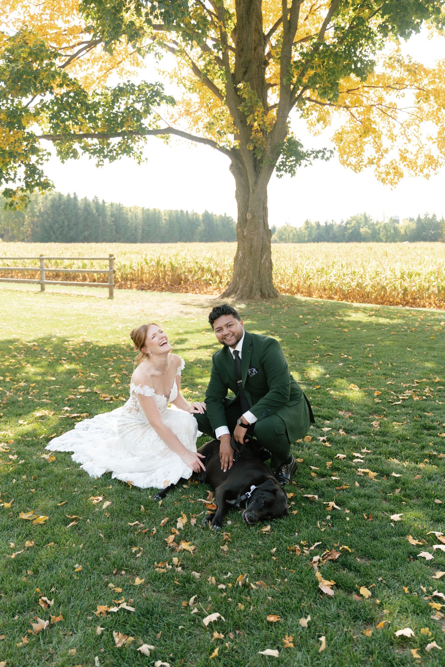 A couple sits together on grass covered in autumn leaves during a golden sunset photo session.