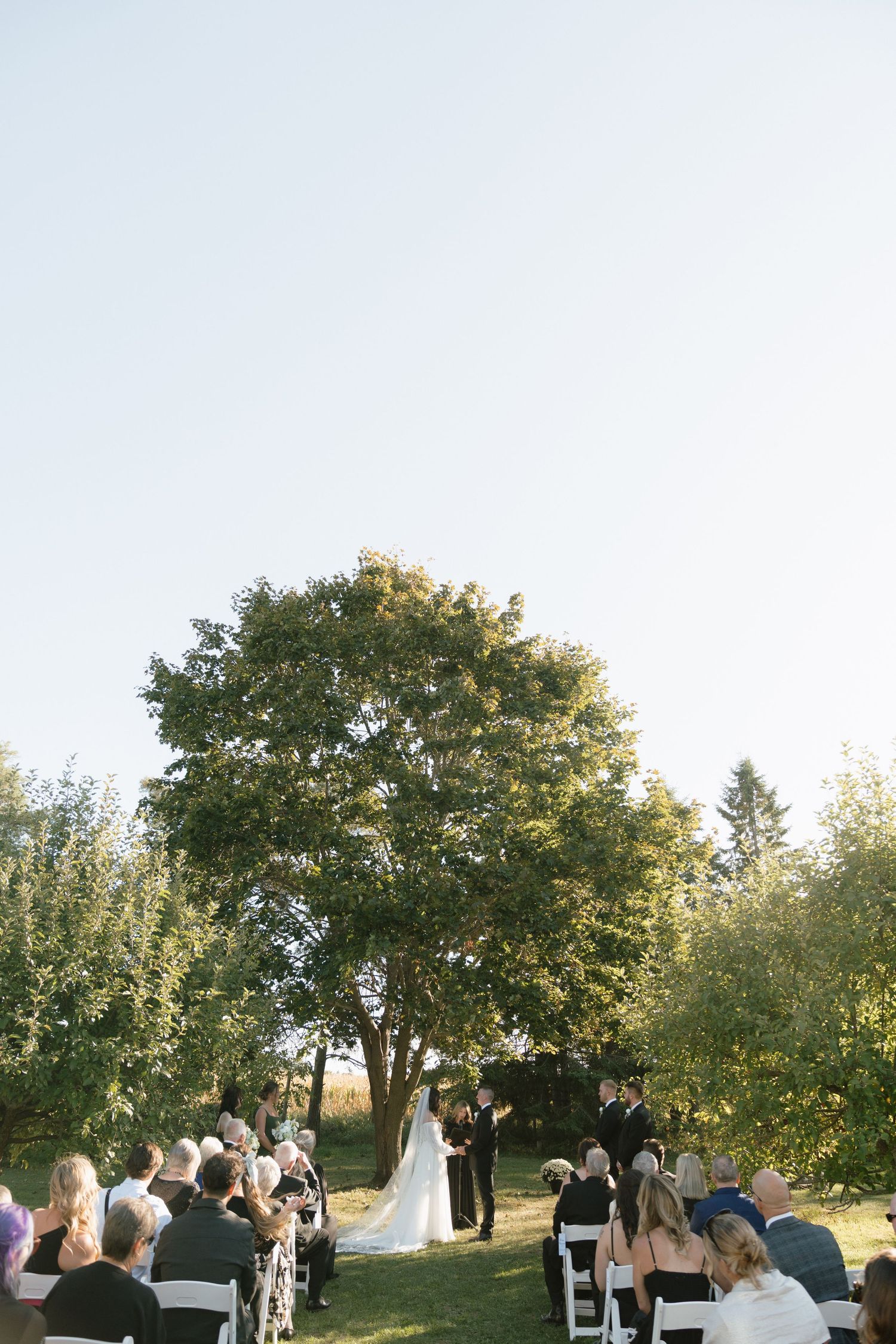 Outdoor wedding ceremony under large tree with guests viewing from white chairs.