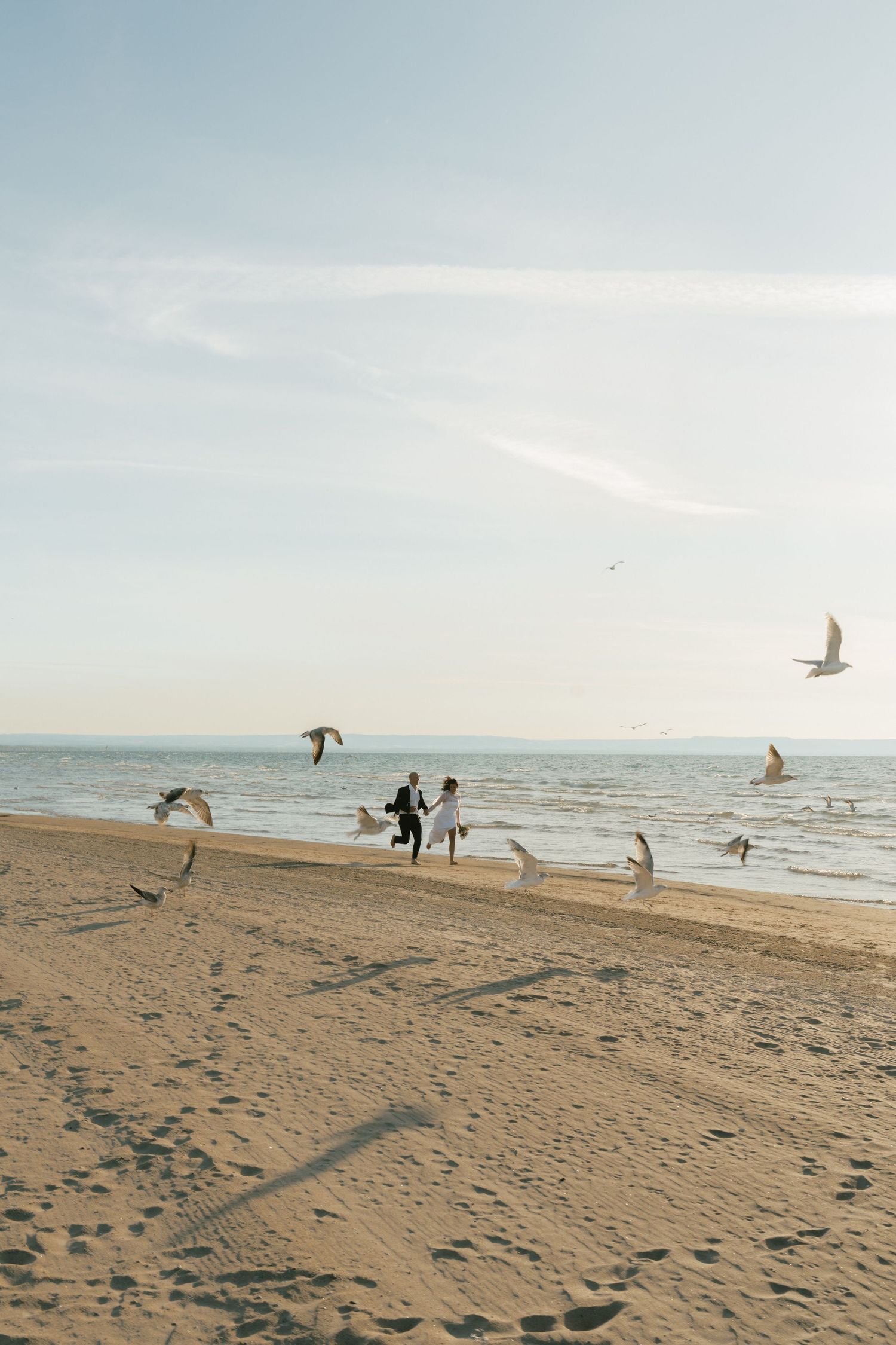 Seagulls fly over a peaceful sandy beach at sunset with silhouettes in the distance.