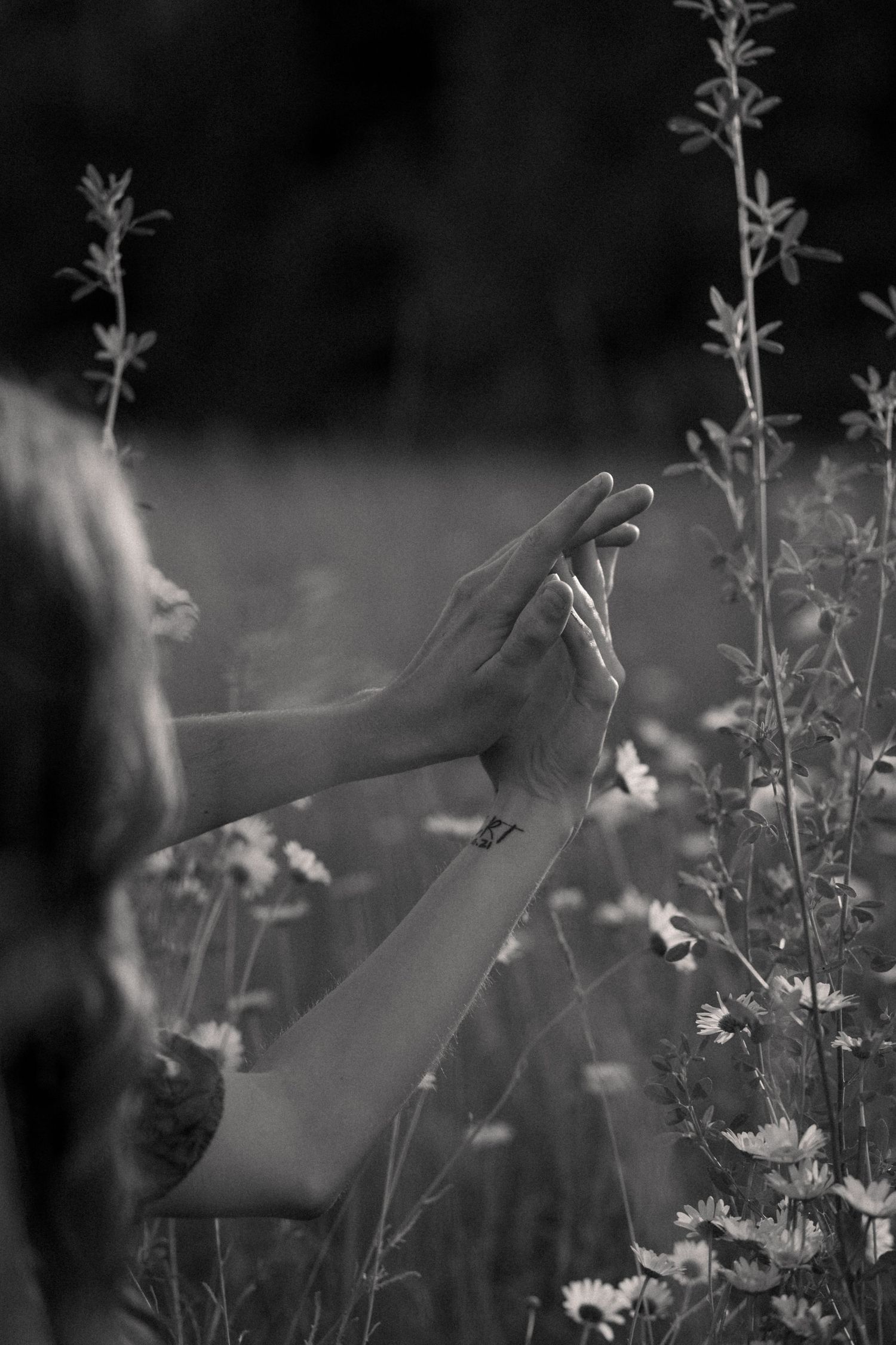 Artistic black and white photo of hands reaching toward wildflowers in a meadow.