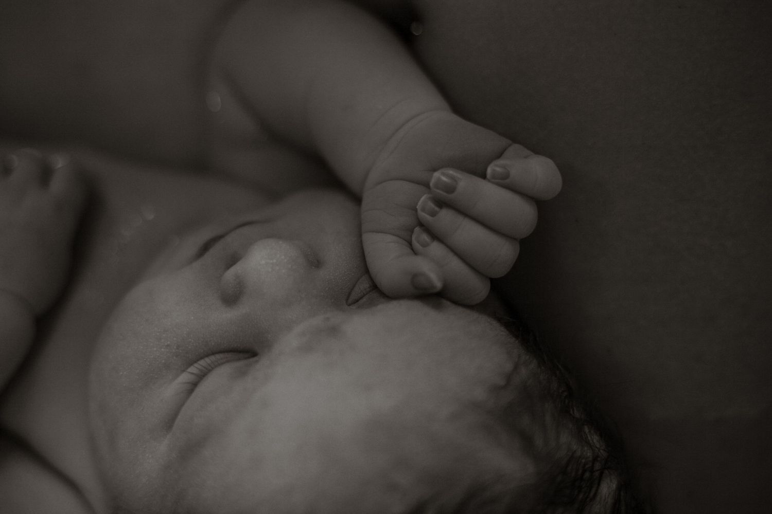 Close-up black and white photo of a breastfeeding infant.