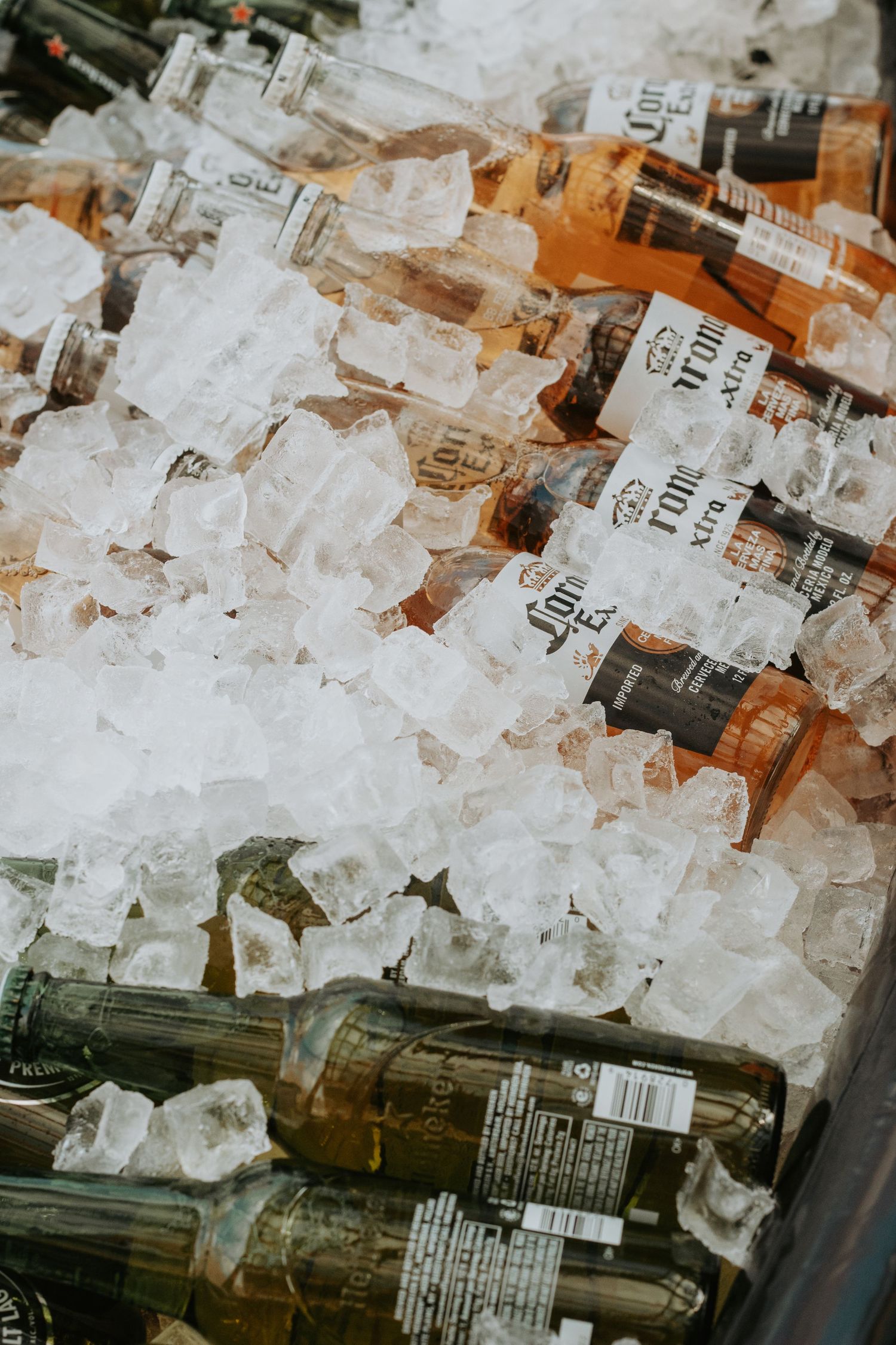 Bottles chilling in ice at wedding reception bar service.
