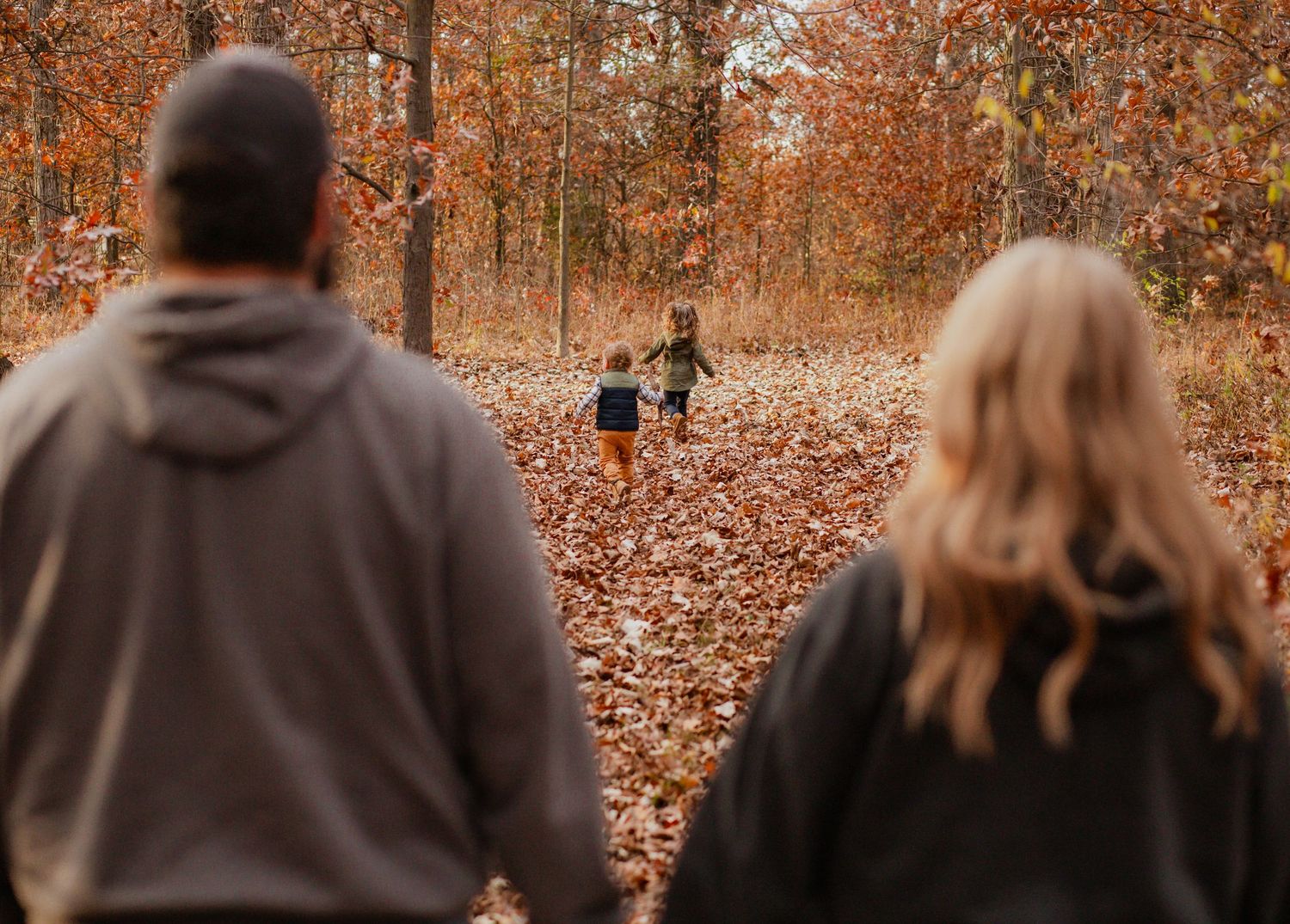 Silhouettes of people walking through autumn woods with orange and brown fallen leaves.
