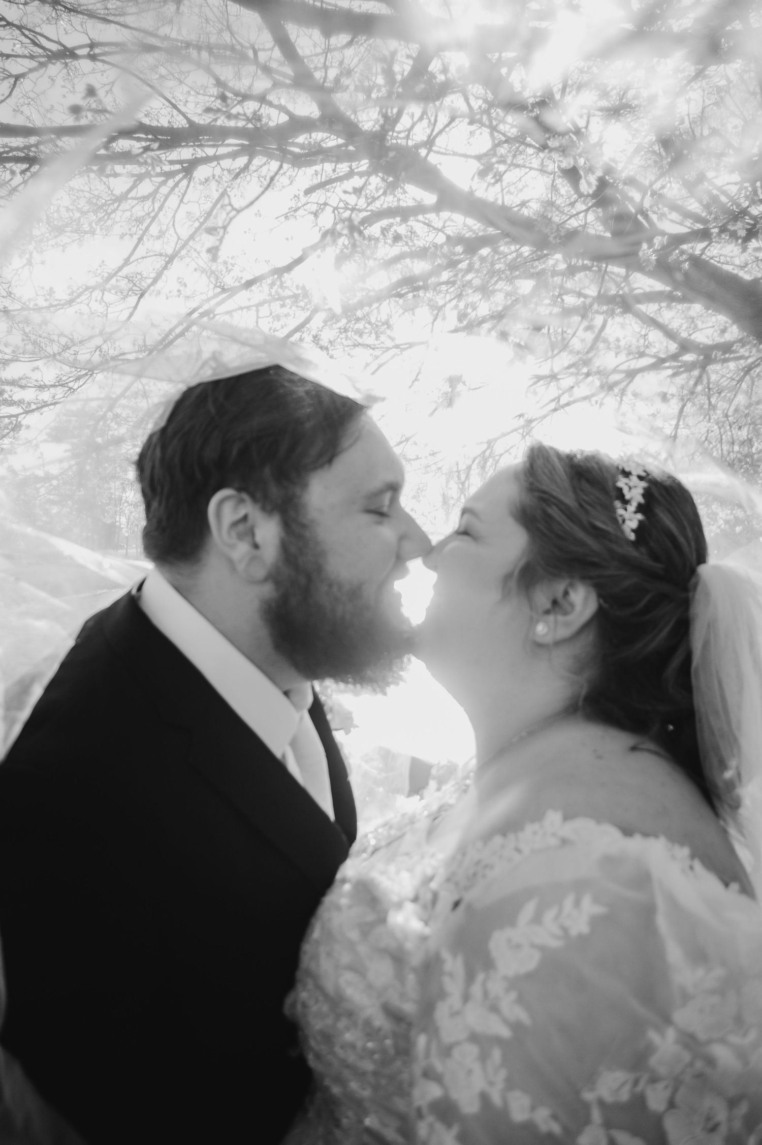 Romantic black and white wedding portrait under tree branches.