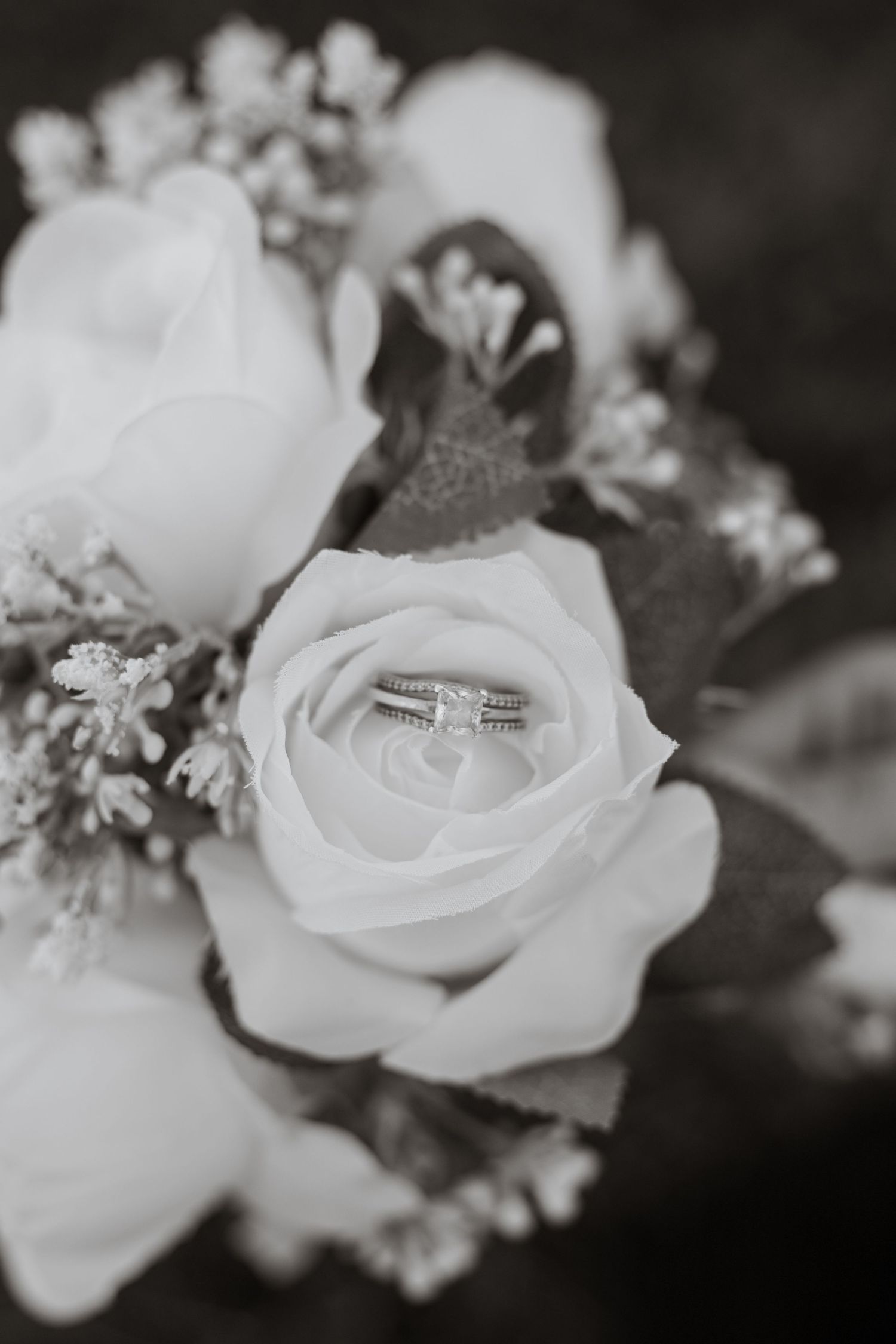 Wedding rings photographed in black and white resting on white rose petals.