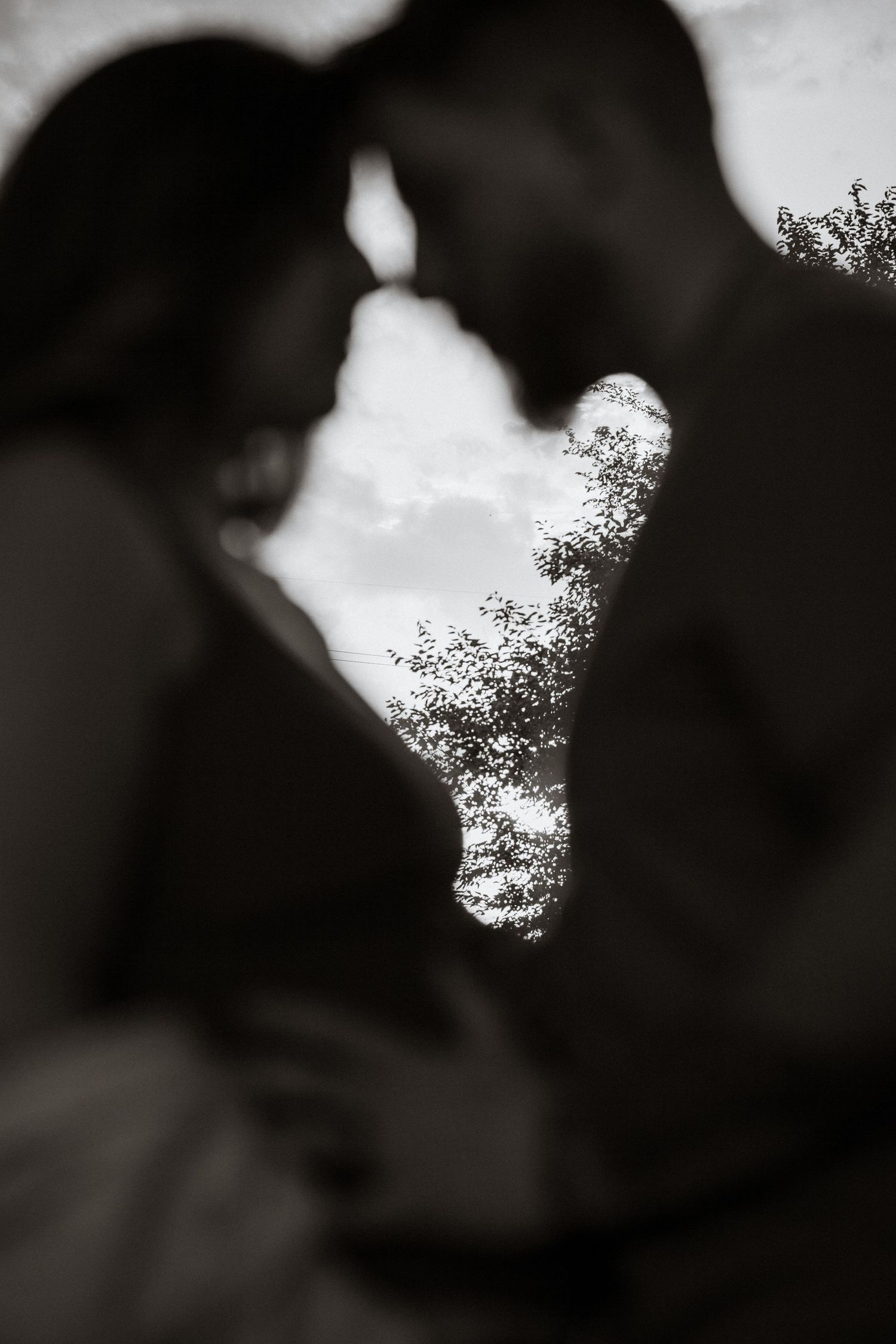 Artistic black and white silhouette portrait in natural outdoor setting.