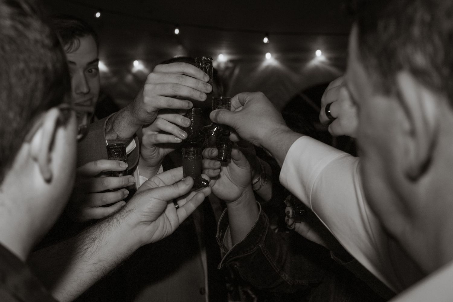 Group of wedding guests toasting with drinks at reception celebration.