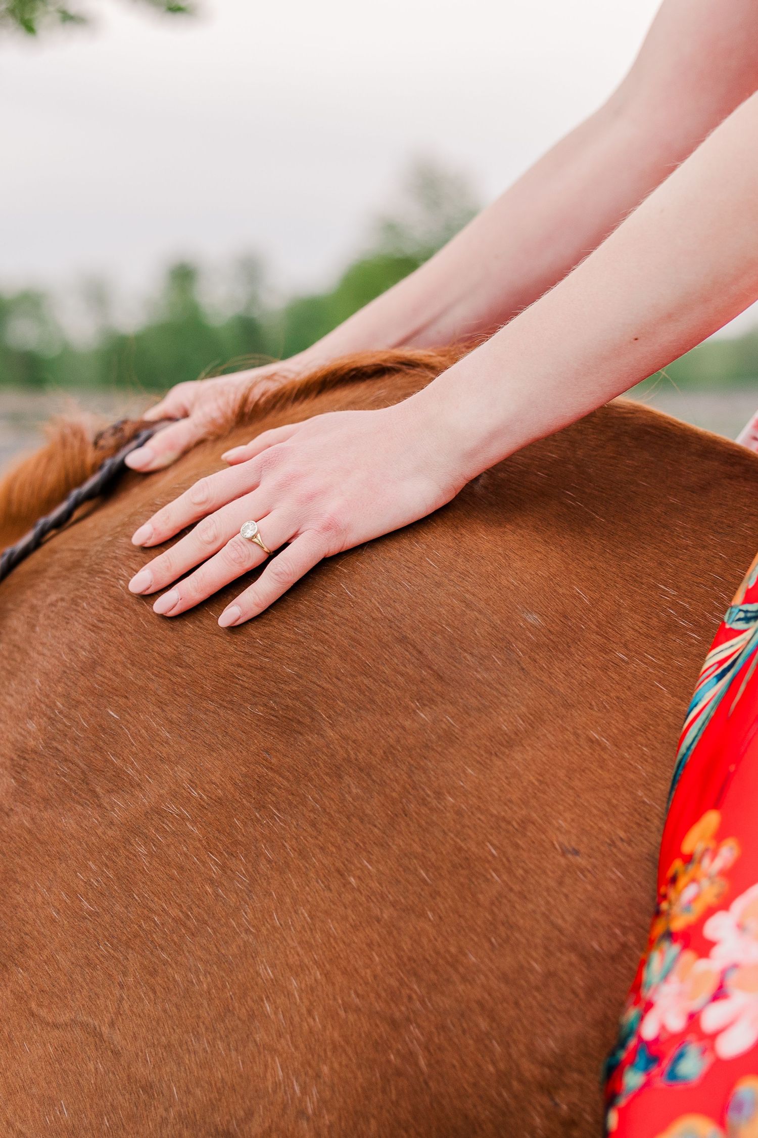 Hand wearing engagement ring rests on the back of a chestnut horse.