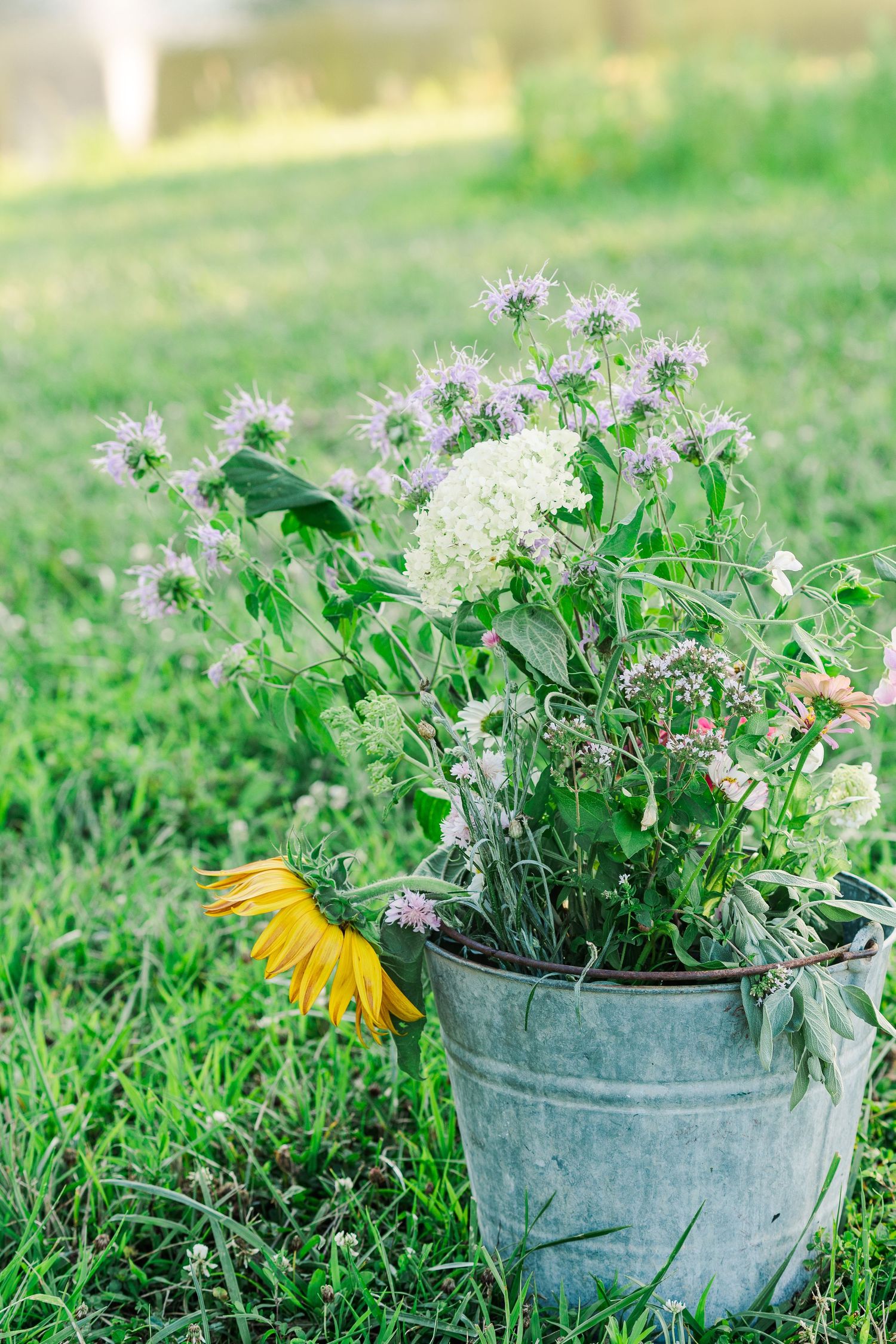 Rustic metal bucket filled with fresh-cut wildflowers and a single sunflower on grass.