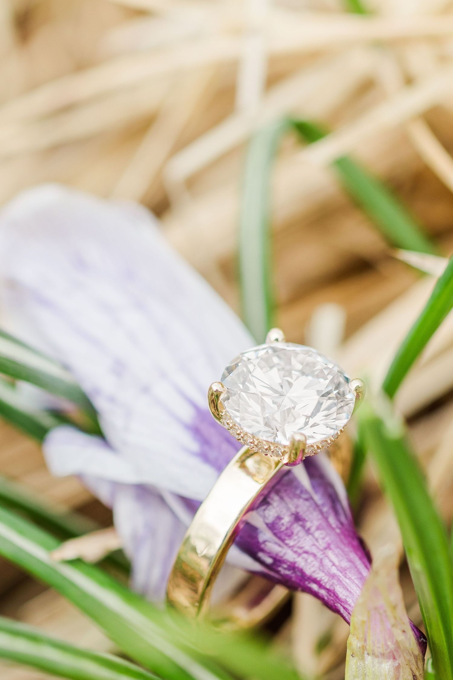A diamond engagement ring photographed with a purple flower and grass.