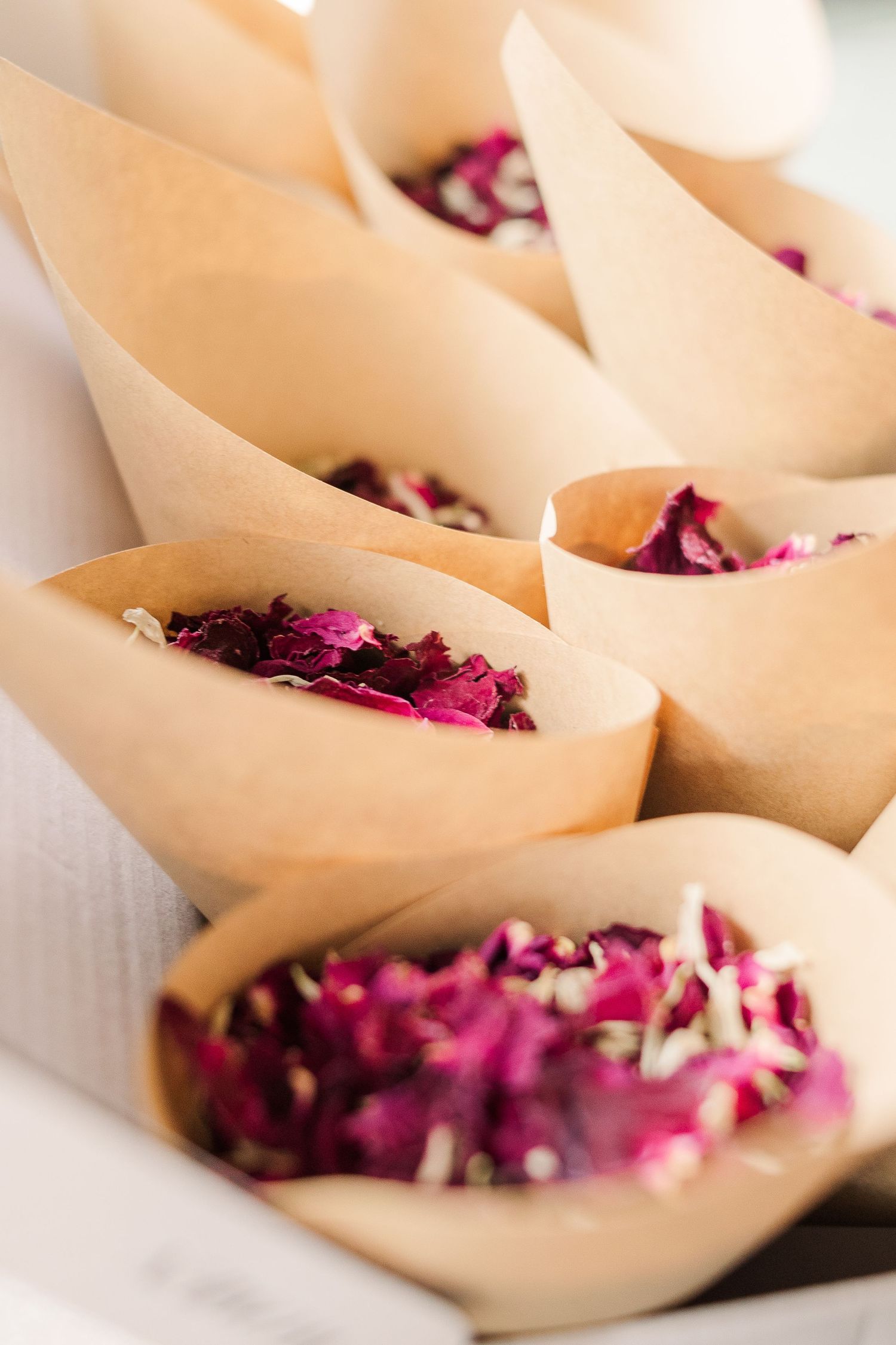 Cream paper cones filled with pink rose petals for wedding toss.