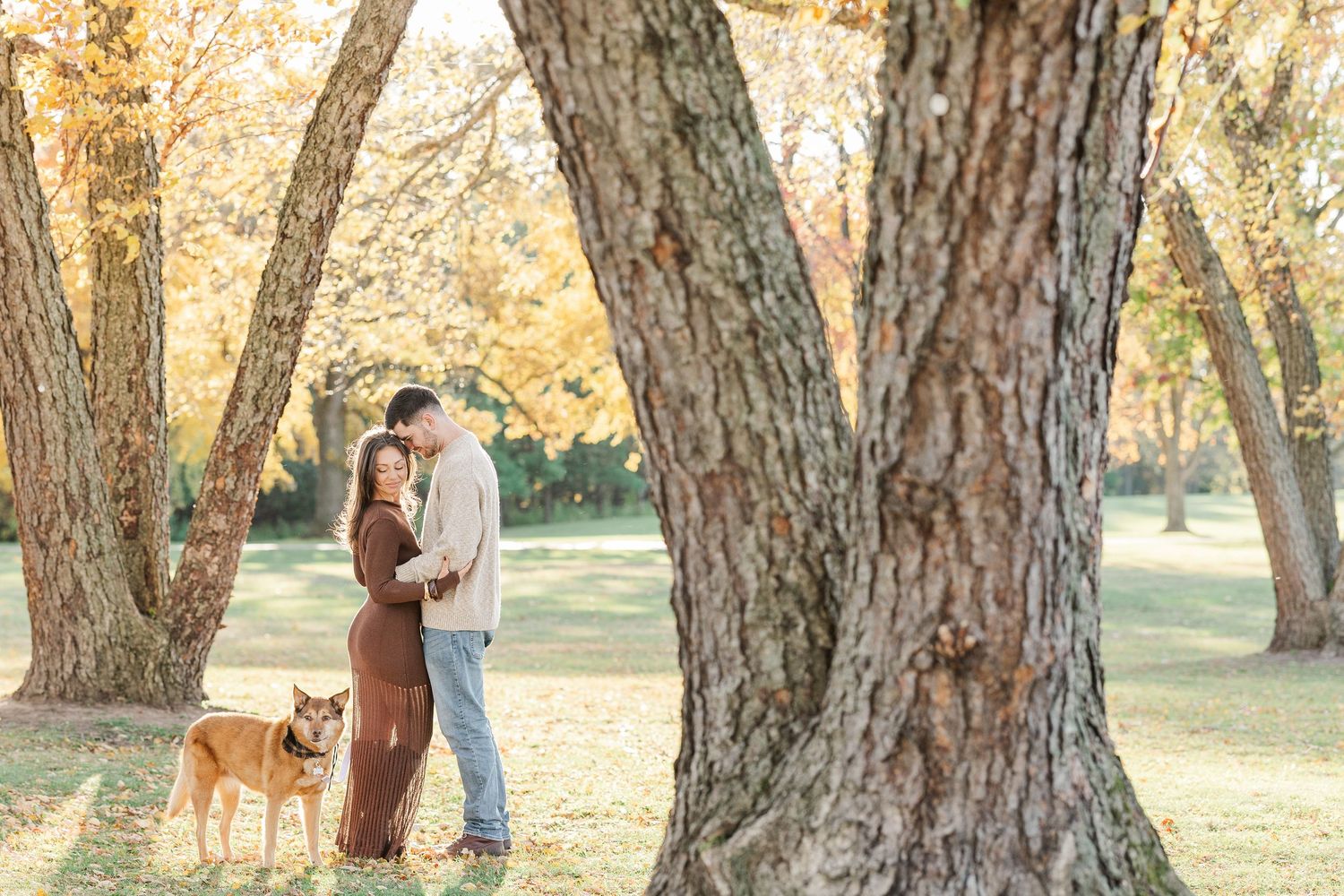 Couple portrait with their dog among fall trees at St. James Farm Preserve in Warrenville, Illinois