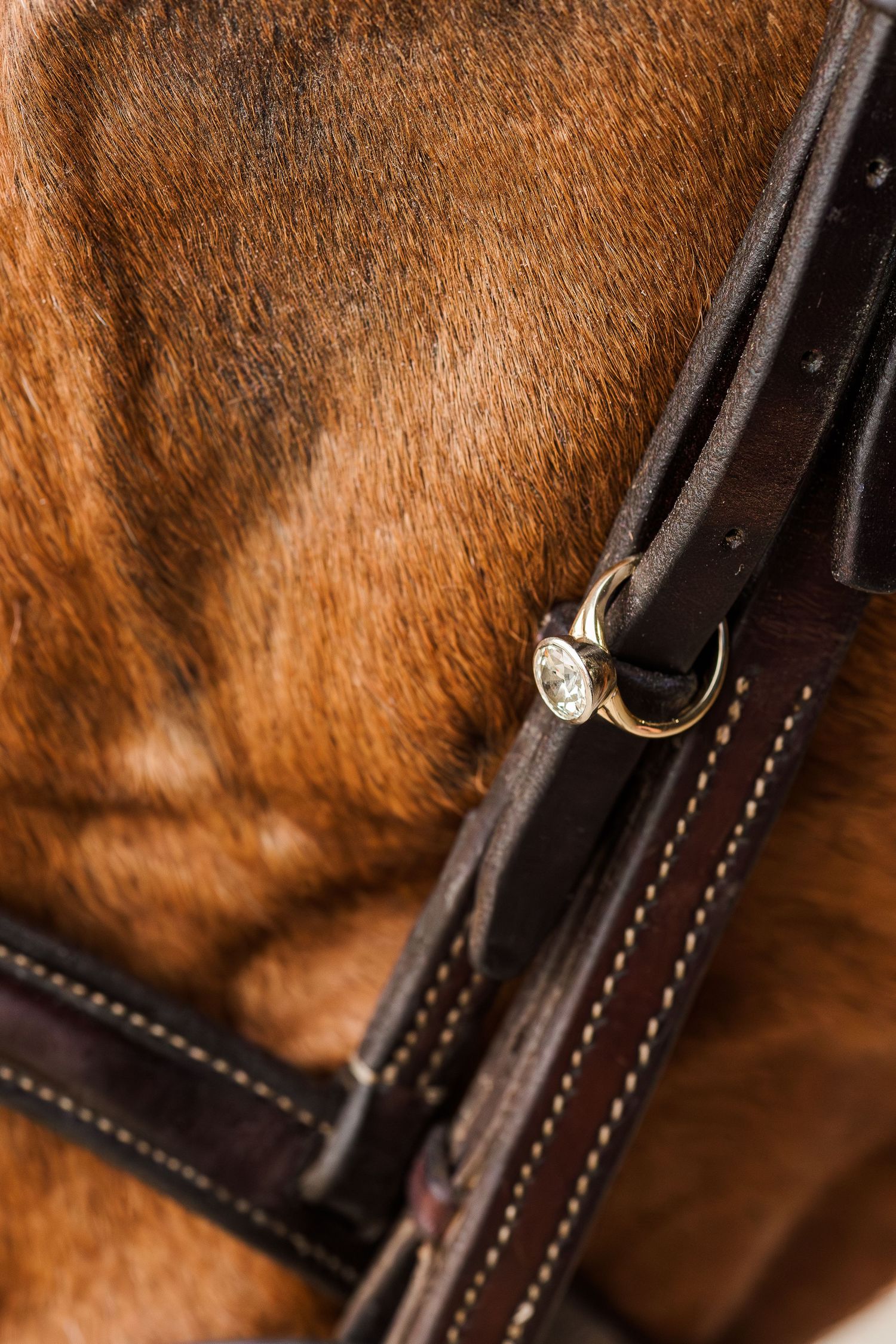 An engagement ring sparkles against brown leather horse tack and bridle straps.