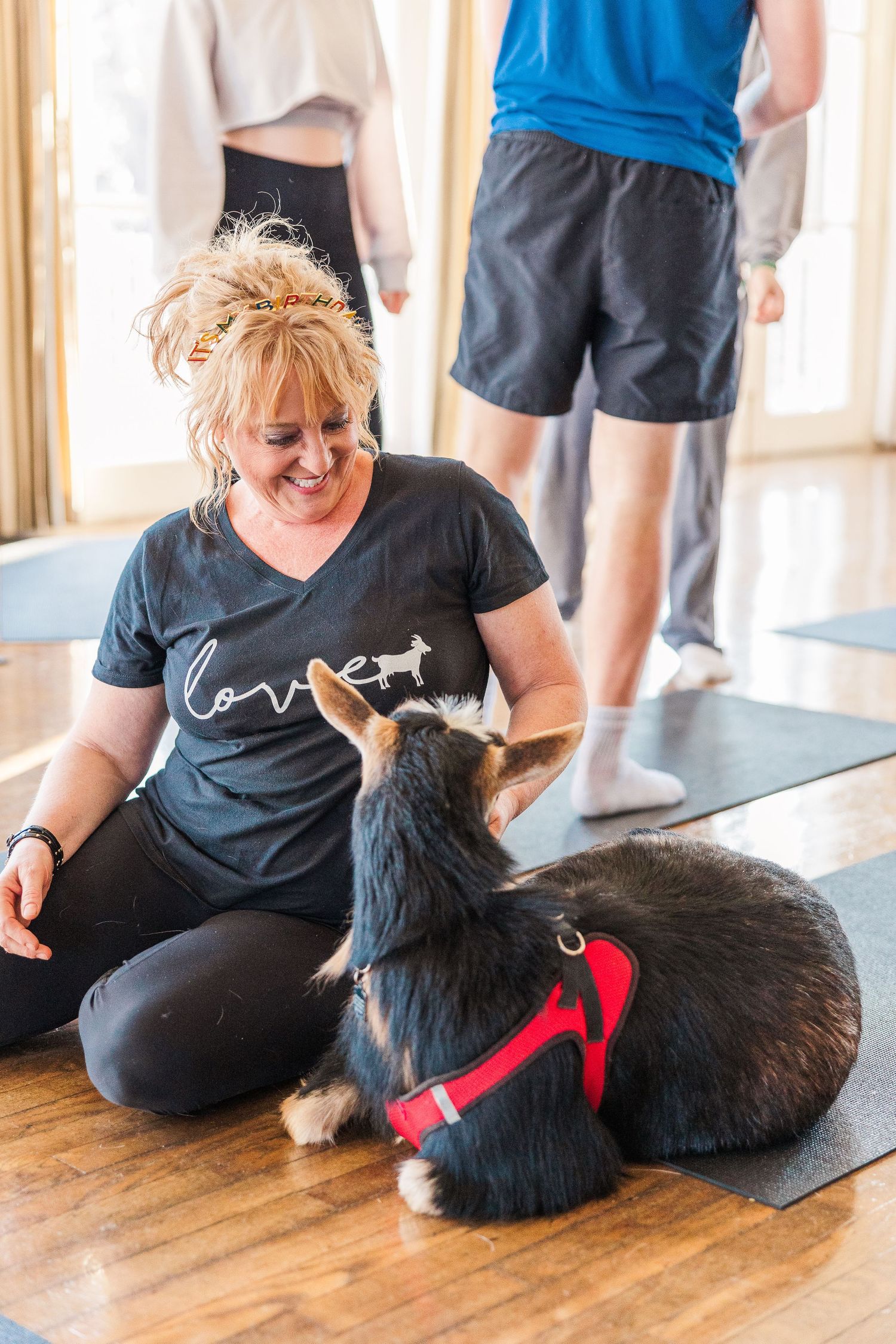 A black and white dog wearing a red harness sits with someone on a yoga mat during an exercise class.