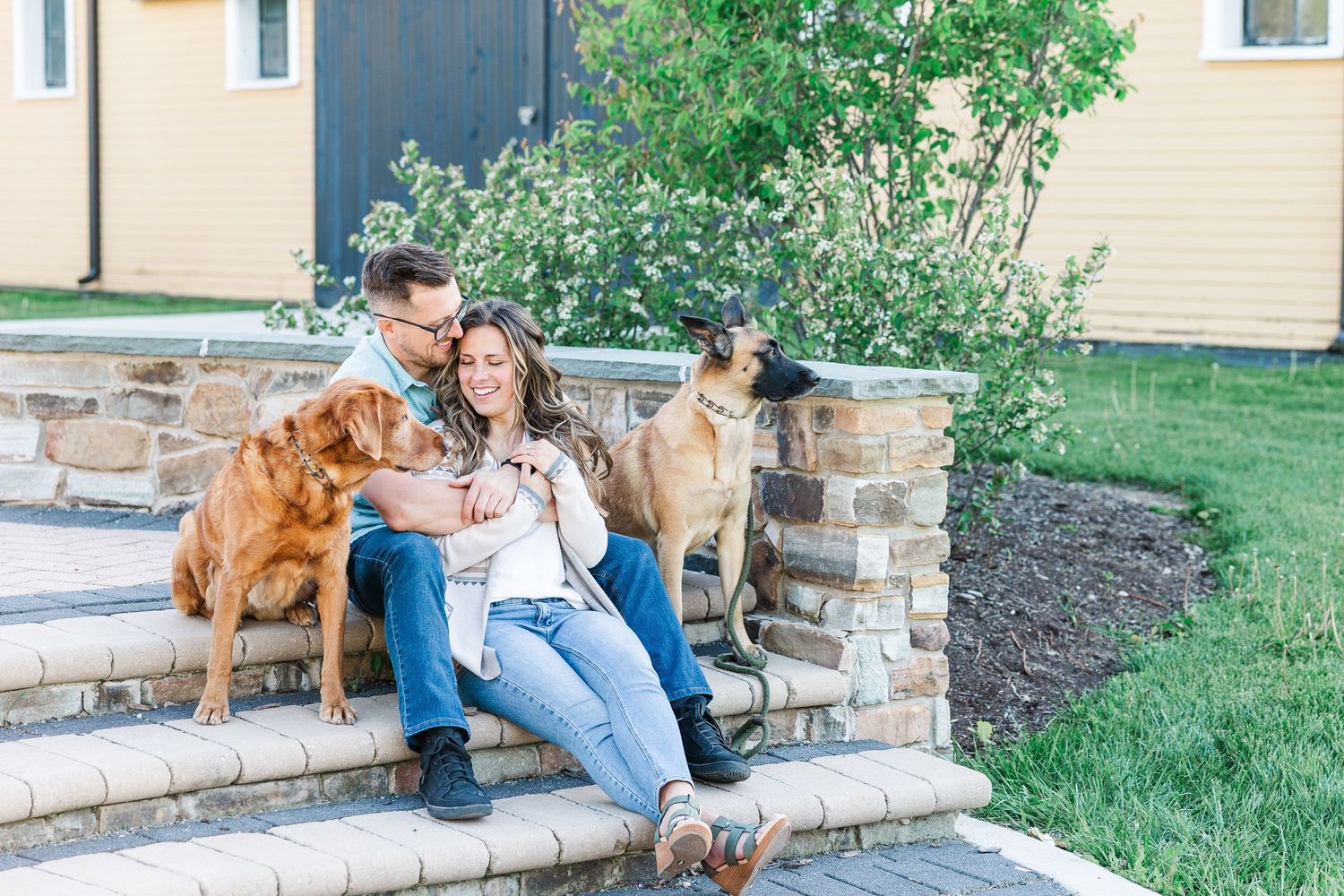 Engagement photos with dogs on the stone steps at St. James Farm Preserve