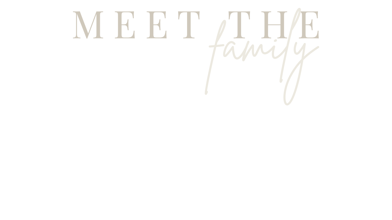 A minimalist white text reading 'MEET THE' appears on a plain light gray background.