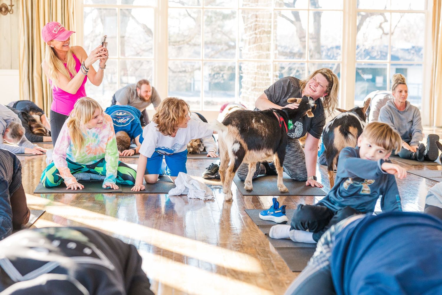 Group yoga class with playful goats interacting with participants on exercise mats.