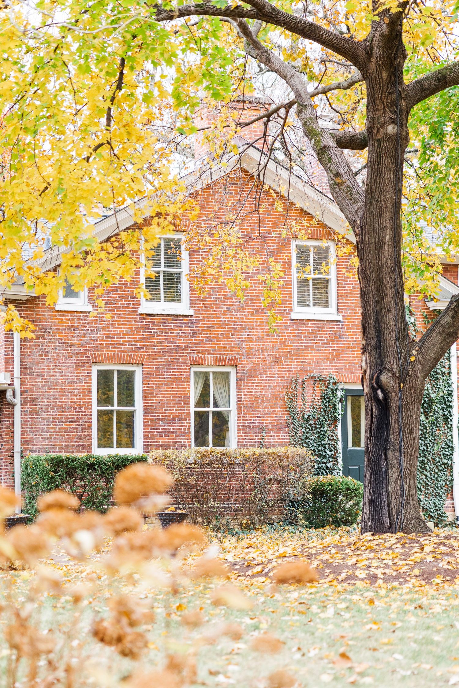 Red brick house with white trim windows surrounded by fall foliage.