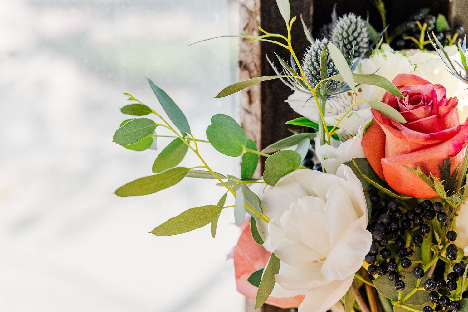 Beautiful white and coral roses with eucalyptus leaves in a floral arrangement against a bright window.