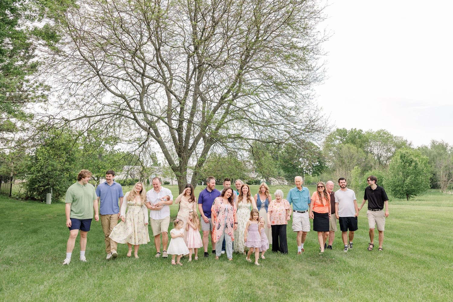 A large extended family group poses together on a green lawn beneath a tall tree during an outdoor family portrait session.