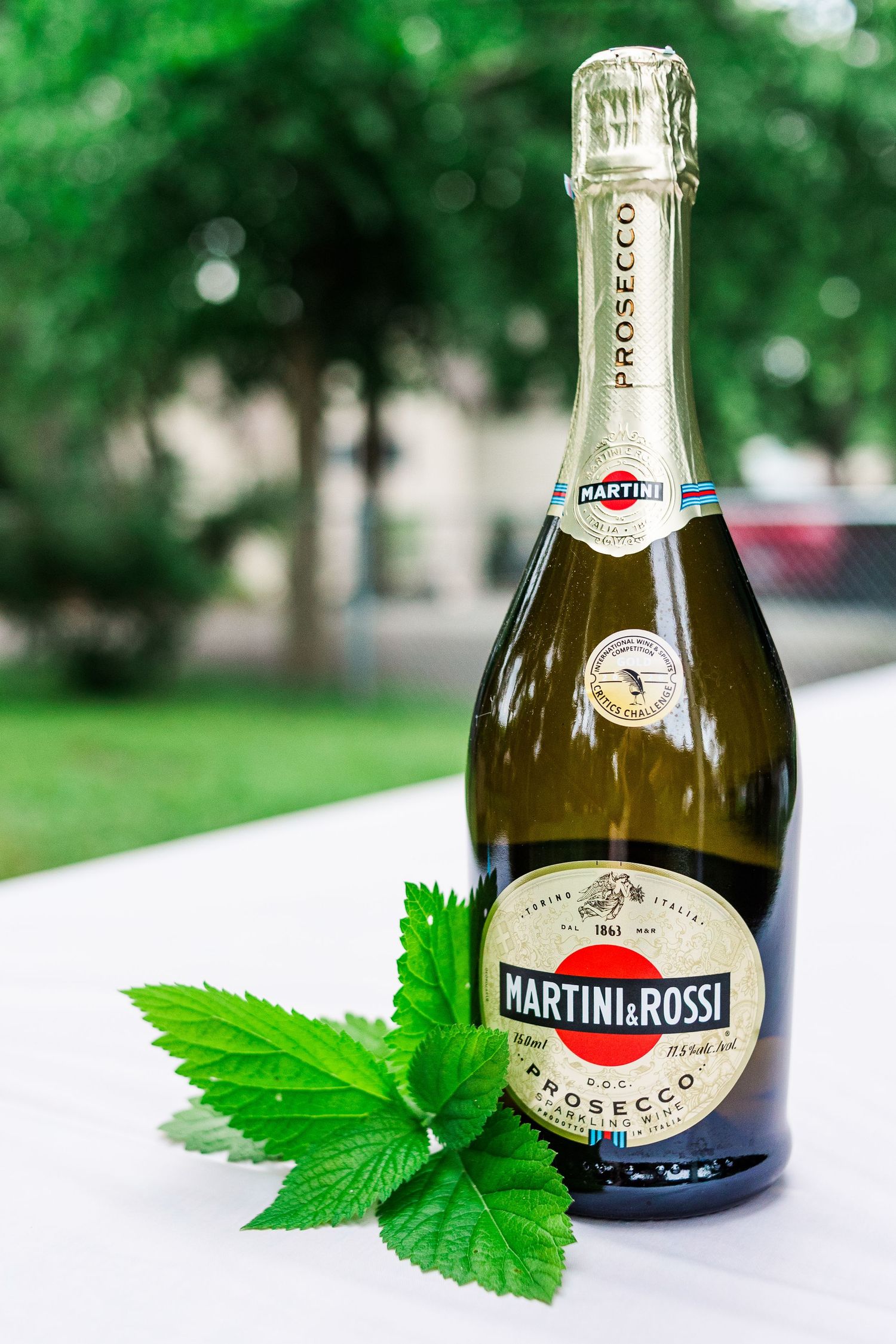 Bottle of Martini & Rossi Prosecco with fresh green leaves on white tablecloth.