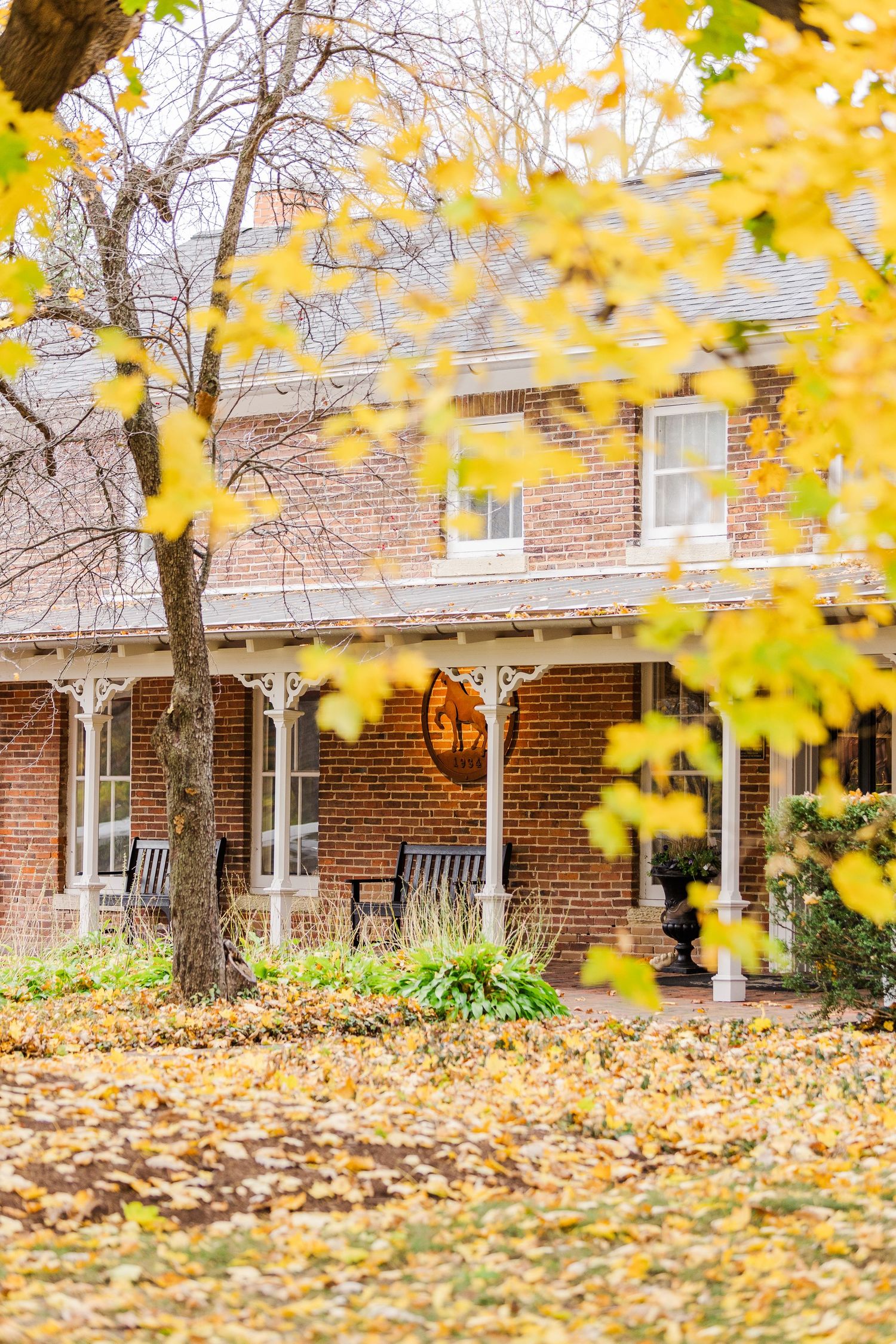 Brick house with autumn foliage and rocking chairs on porch surrounded by yellow falling leaves.
