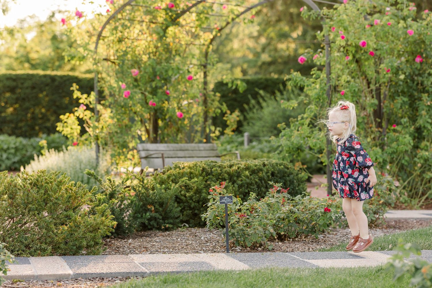Caroline exploring the colorful rose garden during her family’s summer session at Cantigny Park.