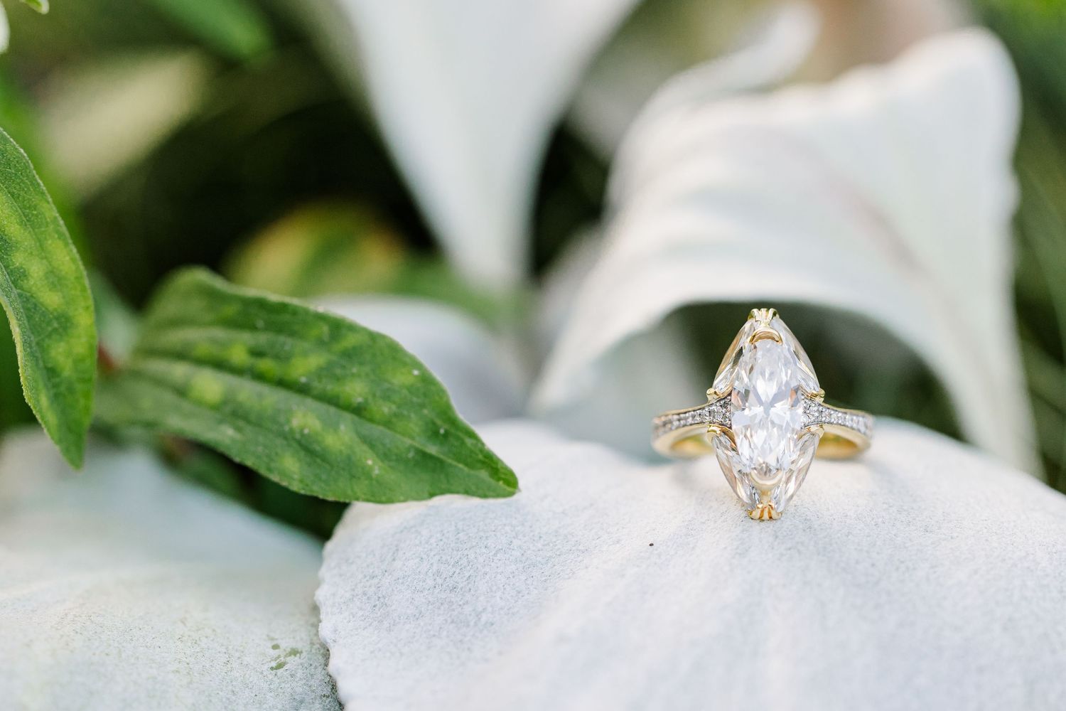Gold engagement ring with marquise diamond displayed on white flower petals surrounded by green leaves.