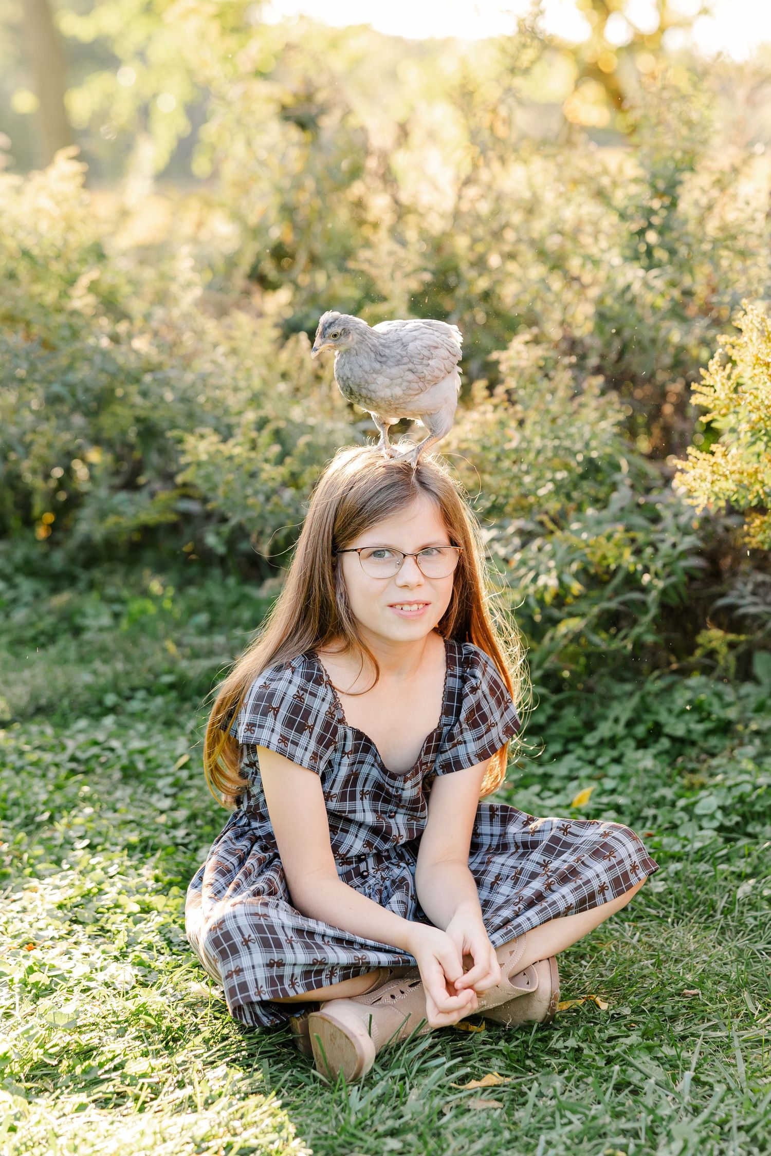 Girl sitting cross-legged with a chicken perched on her head during backyard photos in St. Charles, IL.