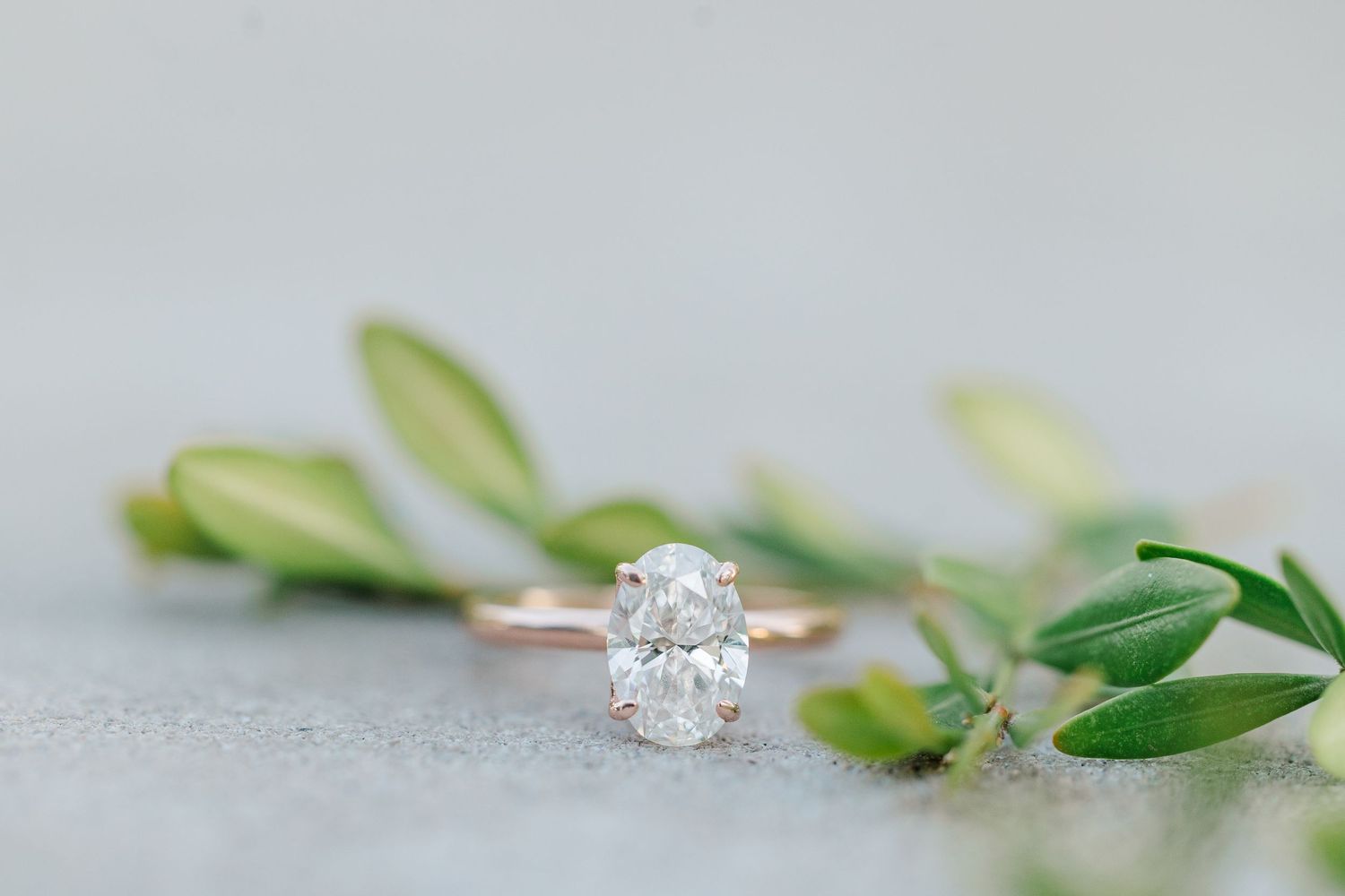 Engagement ring detail with greenery during a St. James Farm Preserve engagement session