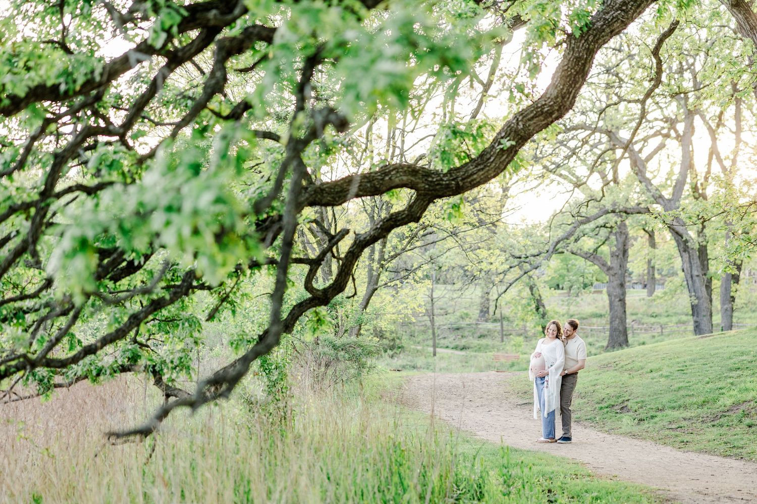 Wide maternity portrait under spring trees at Veterans Acres Nature Preserve in Crystal Lake.