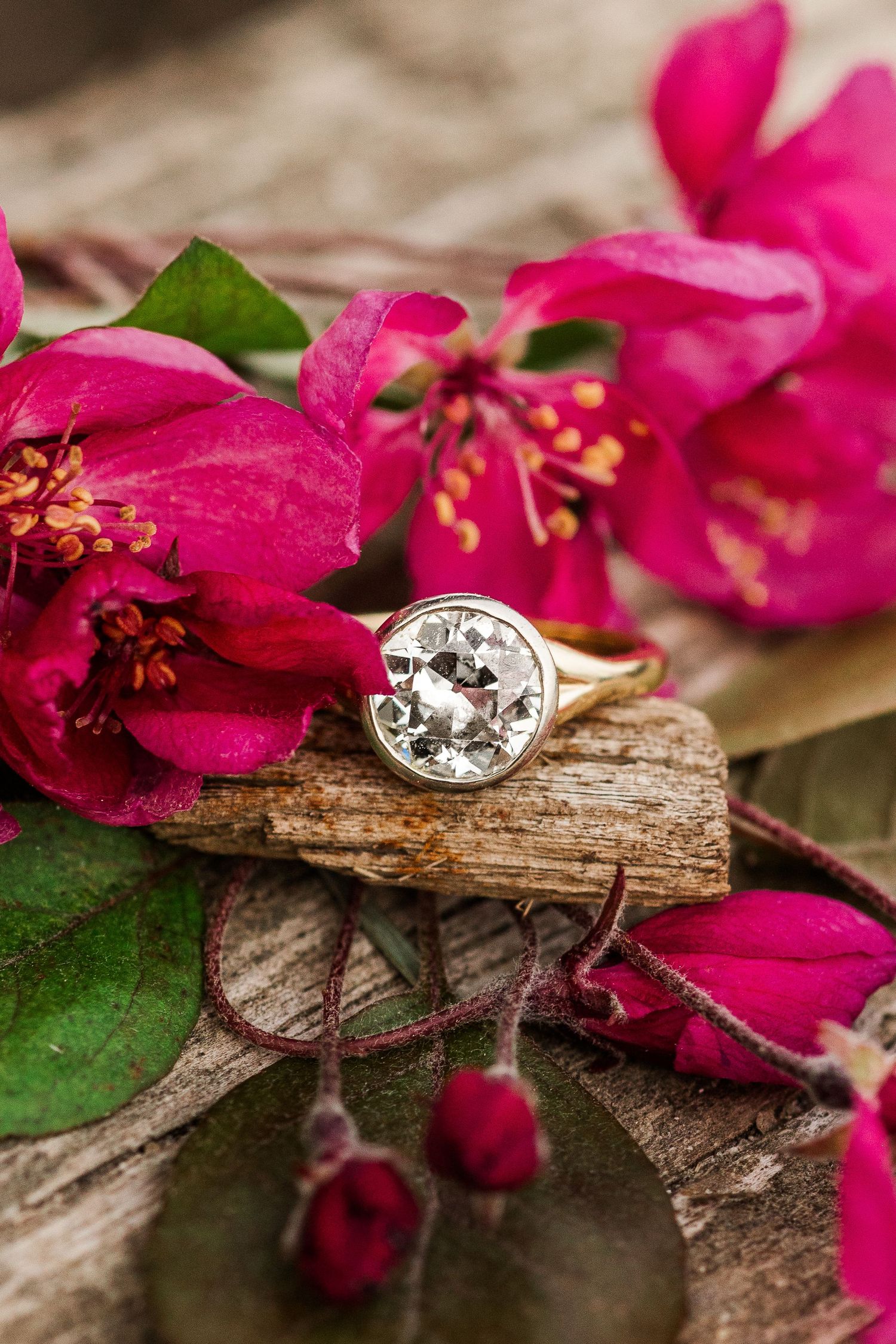 Sparkling diamond engagement ring nestled among vibrant pink bougainvillea flowers on weathered wood.
