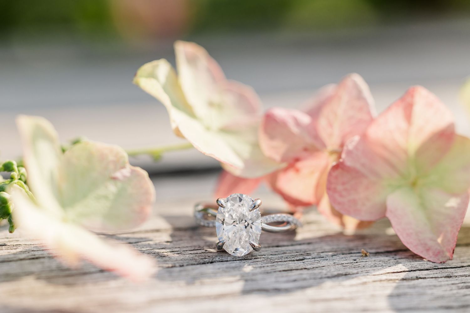 Alysia’s engagement ring displayed with soft pink flowers at Cantigny Park.