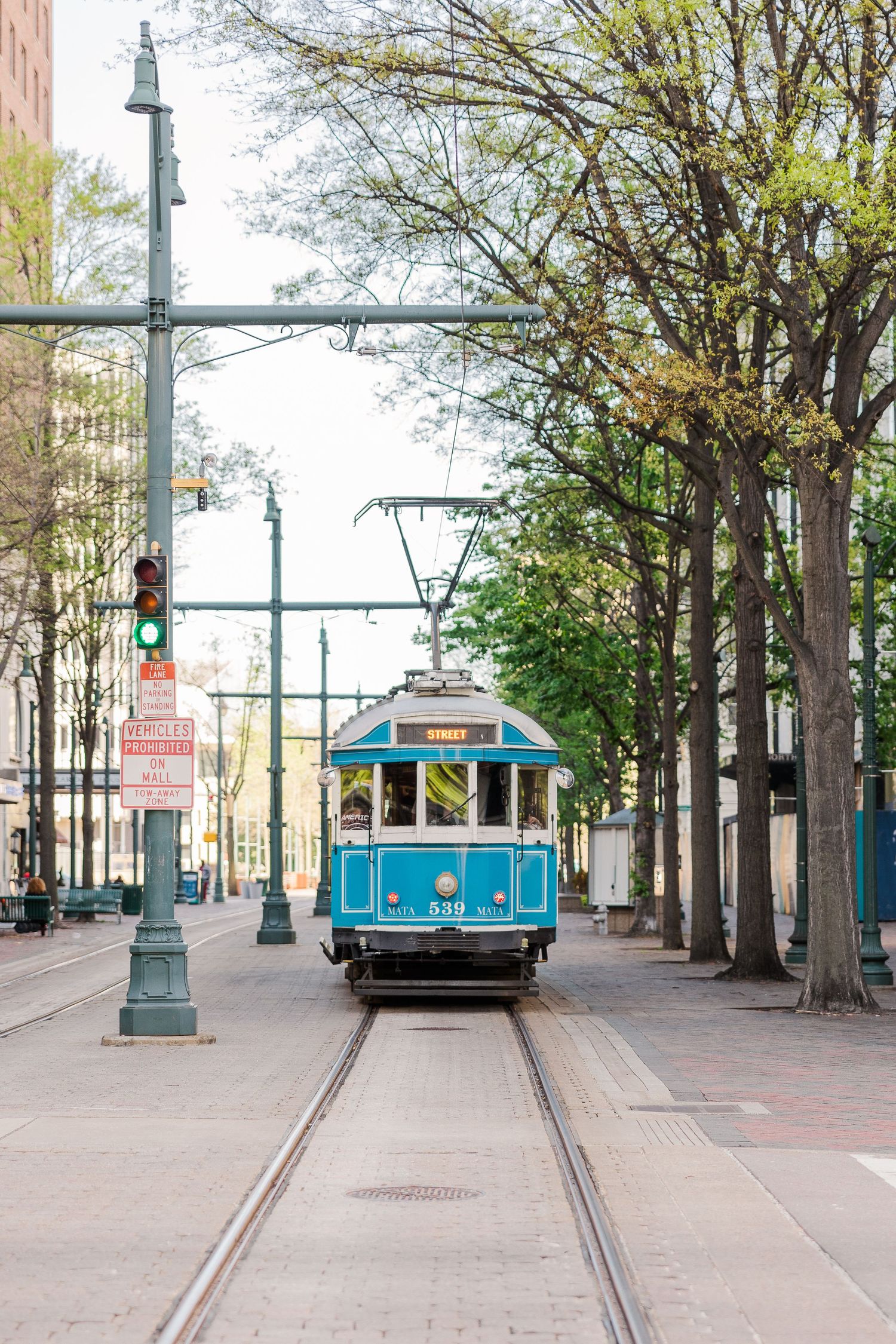 A vintage blue trolley car on tracks between rows of trees and historic lampposts.